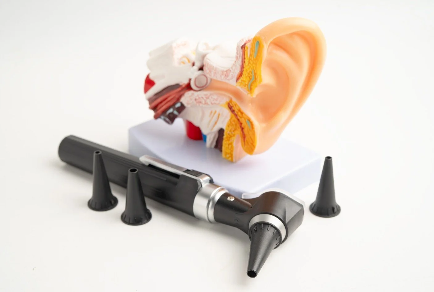A cross-section model of the human ear placed on a white platform, with a black electronic otoscope and four small black cone-shaped stands in front of it.