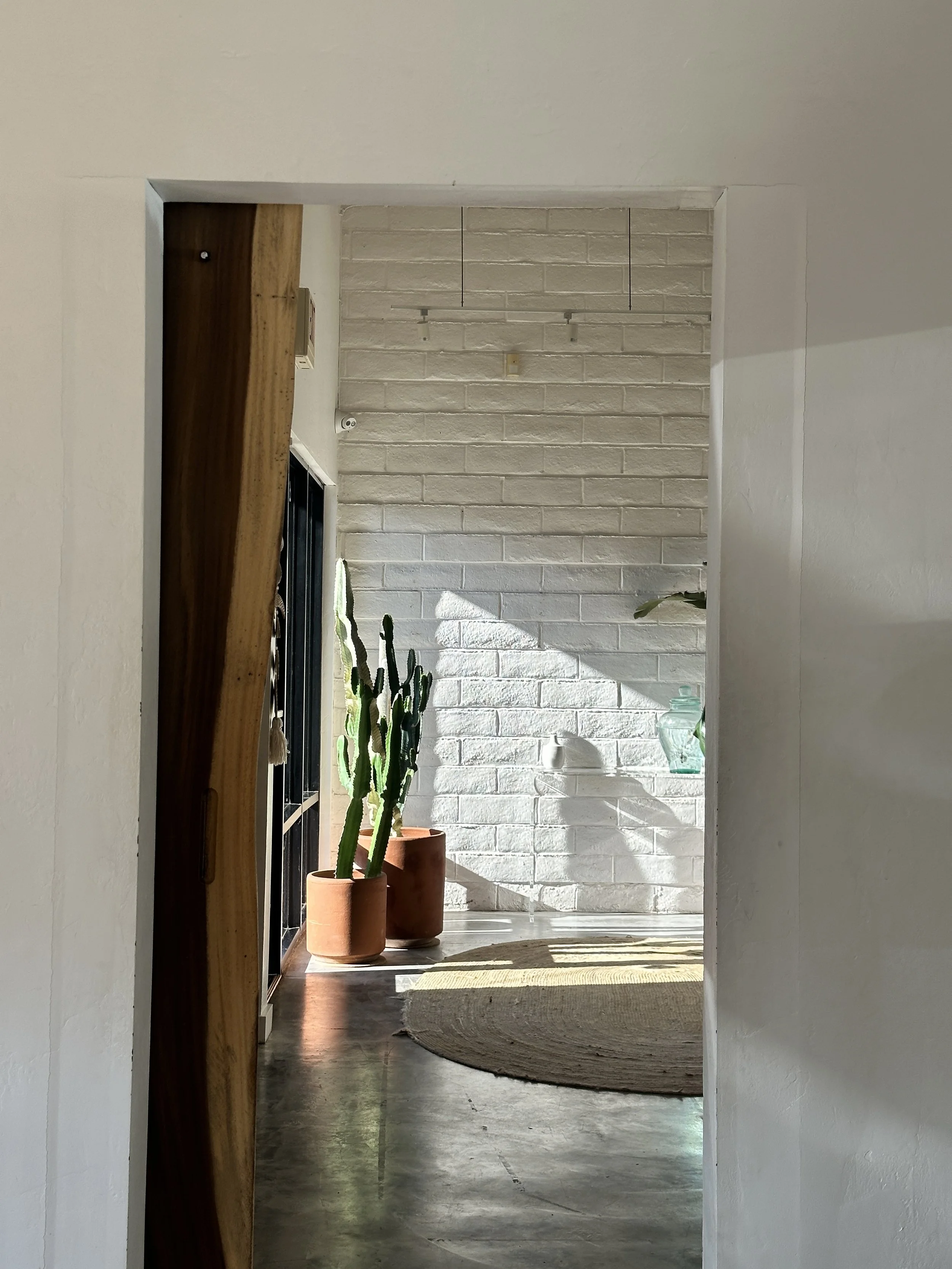 View through a doorway into a bright room with white brick wall, three potted cacti, and a natural fiber doormat on a concrete floor.