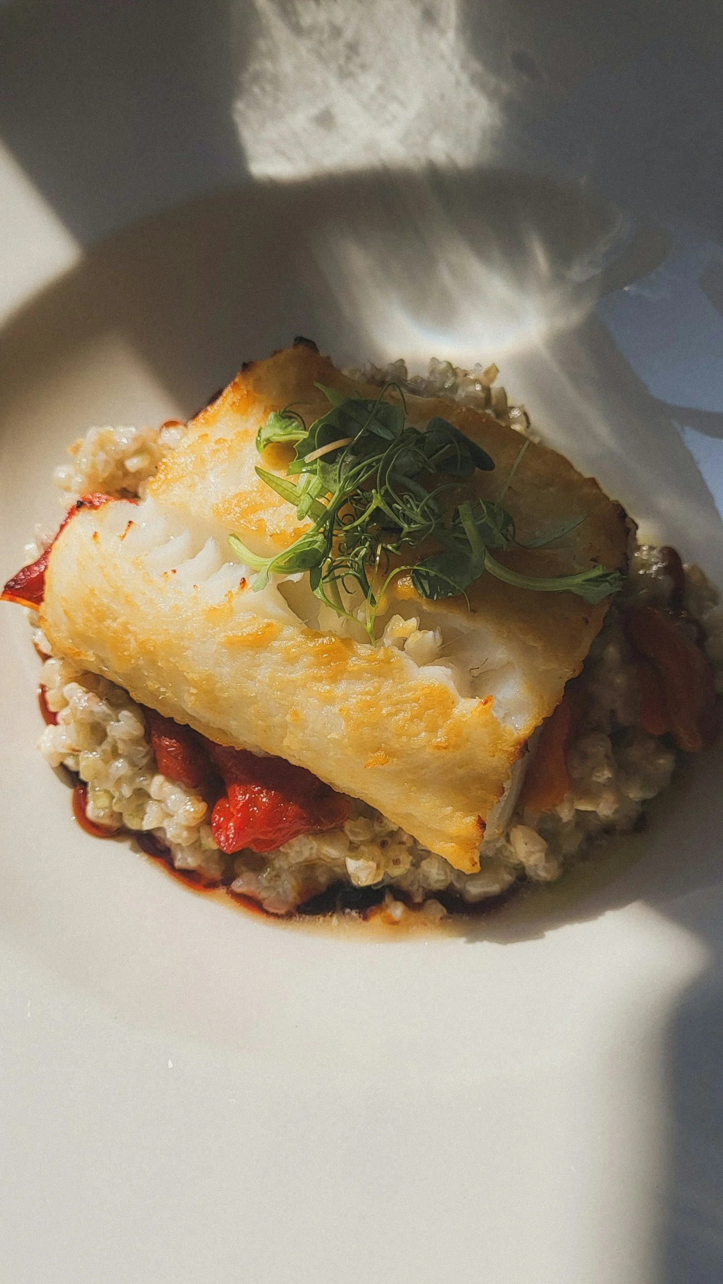 A plated dish with a piece of yellow fish on top of cooked grains, garnished with green microgreens, and surrounded by diced red peppers and a dark sauce.