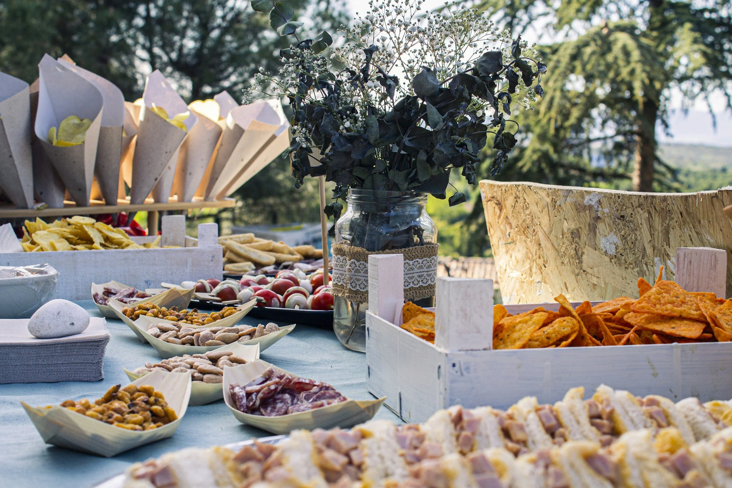 Outdoor buffet table with various dishes including bowls of nuts, candies, and chips, set outdoors with green trees in the background.
