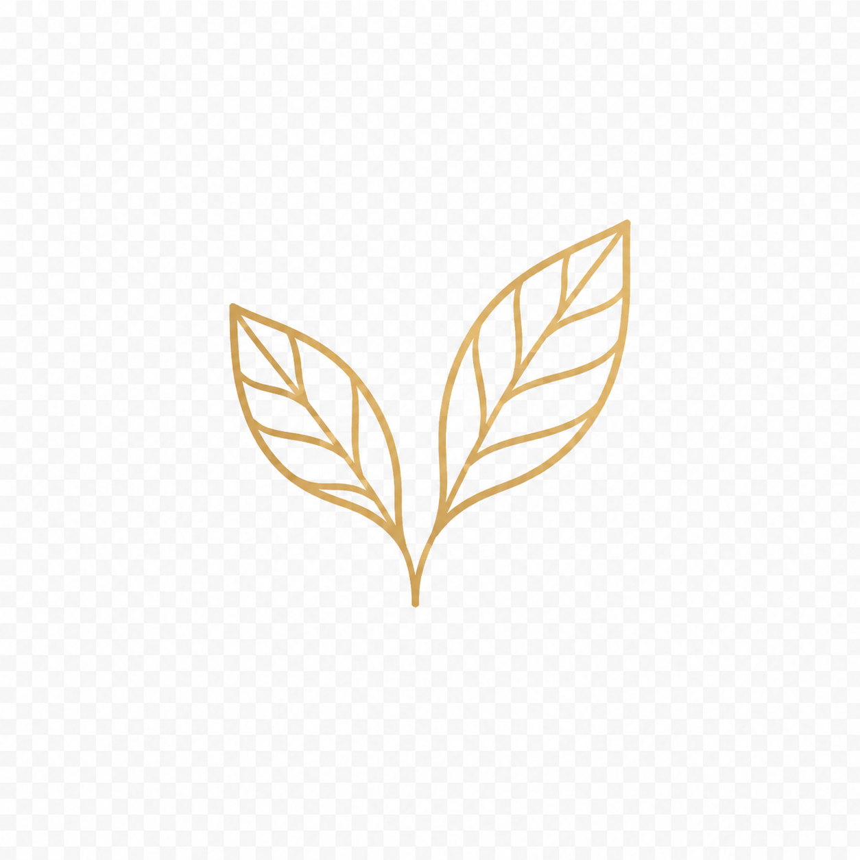 Minimalist gold outline drawing of two leaves