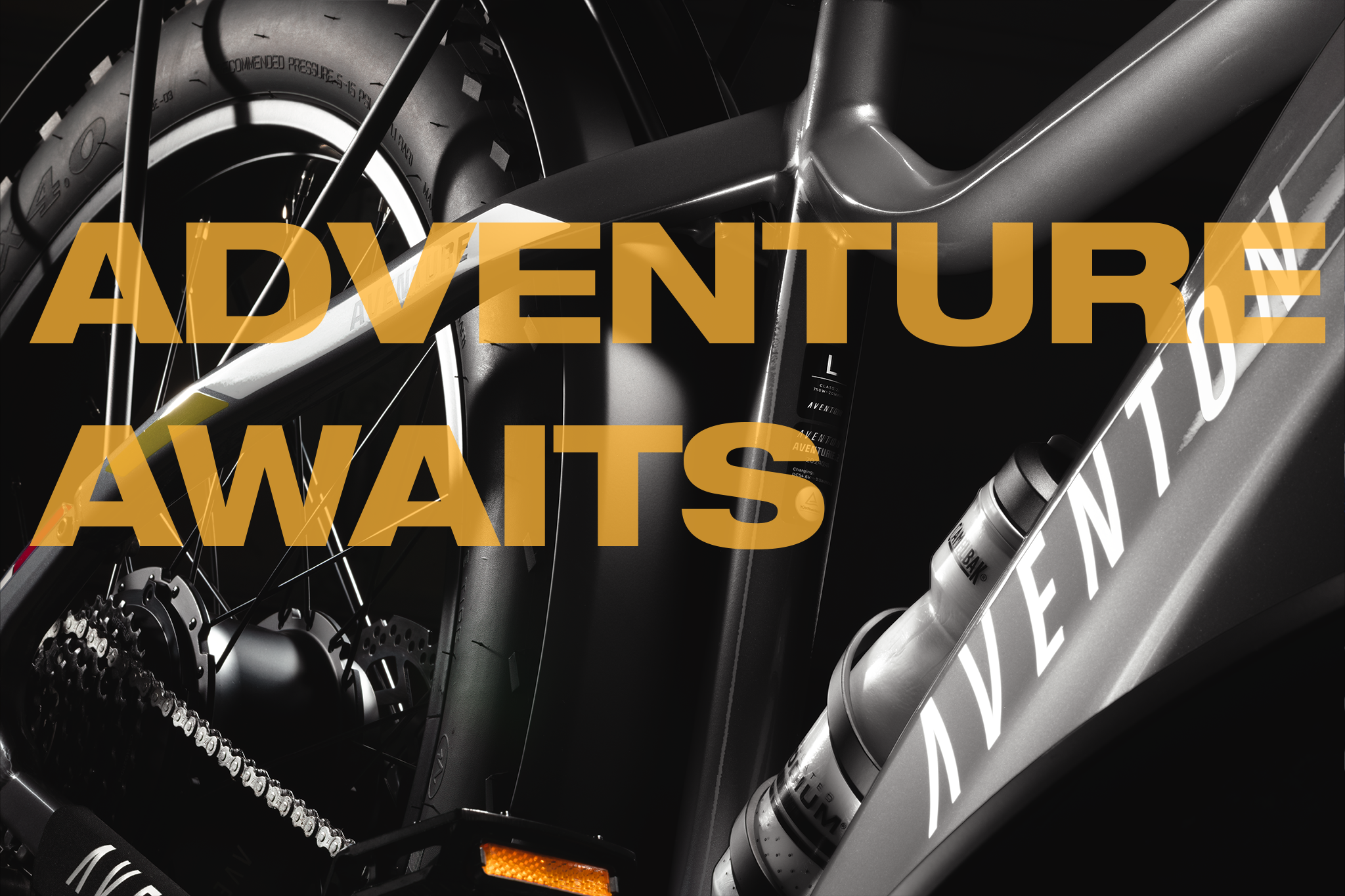 CHOOSE YOUR ADVENTURE… 2.0