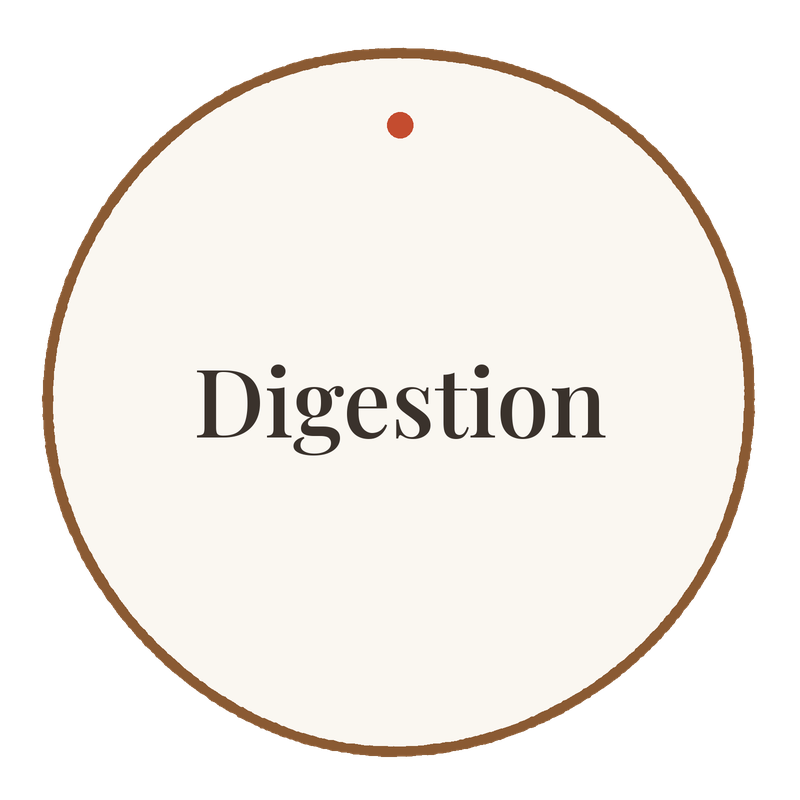 A round diagram with a brown border and the word 'Digestion' in the center, indicating a focus on digestion.