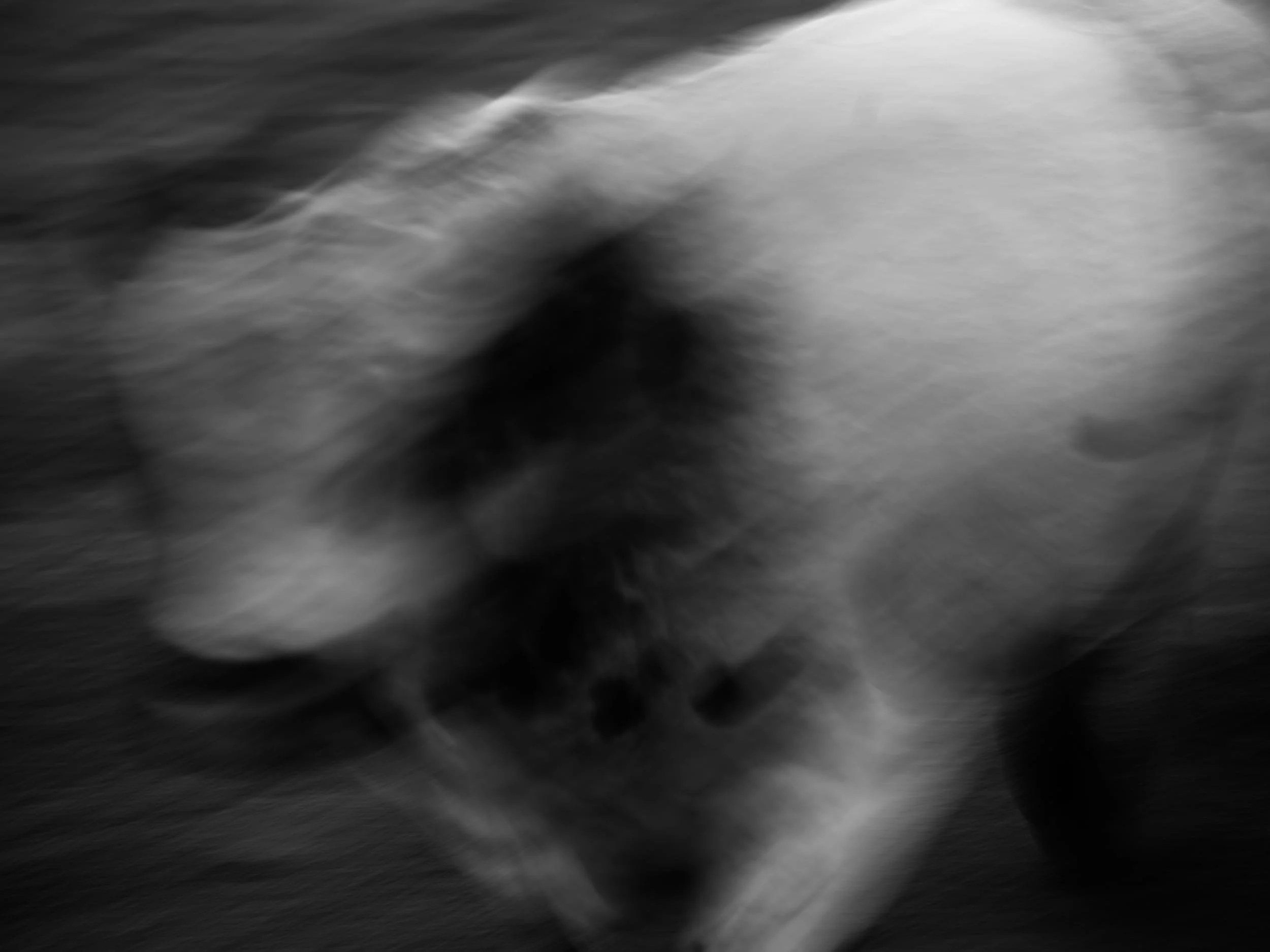 blurry biull.jpg