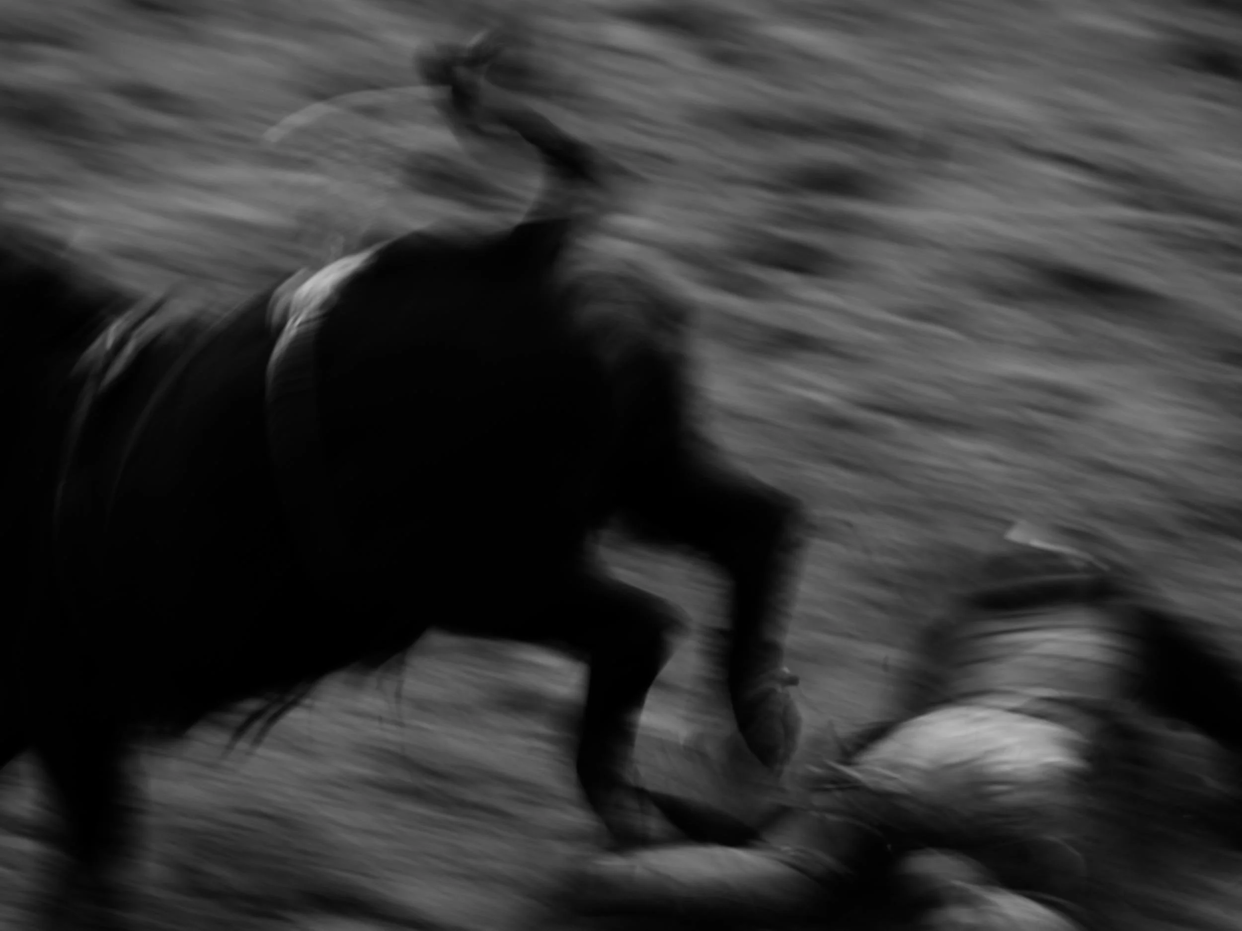 bull rider.jpg