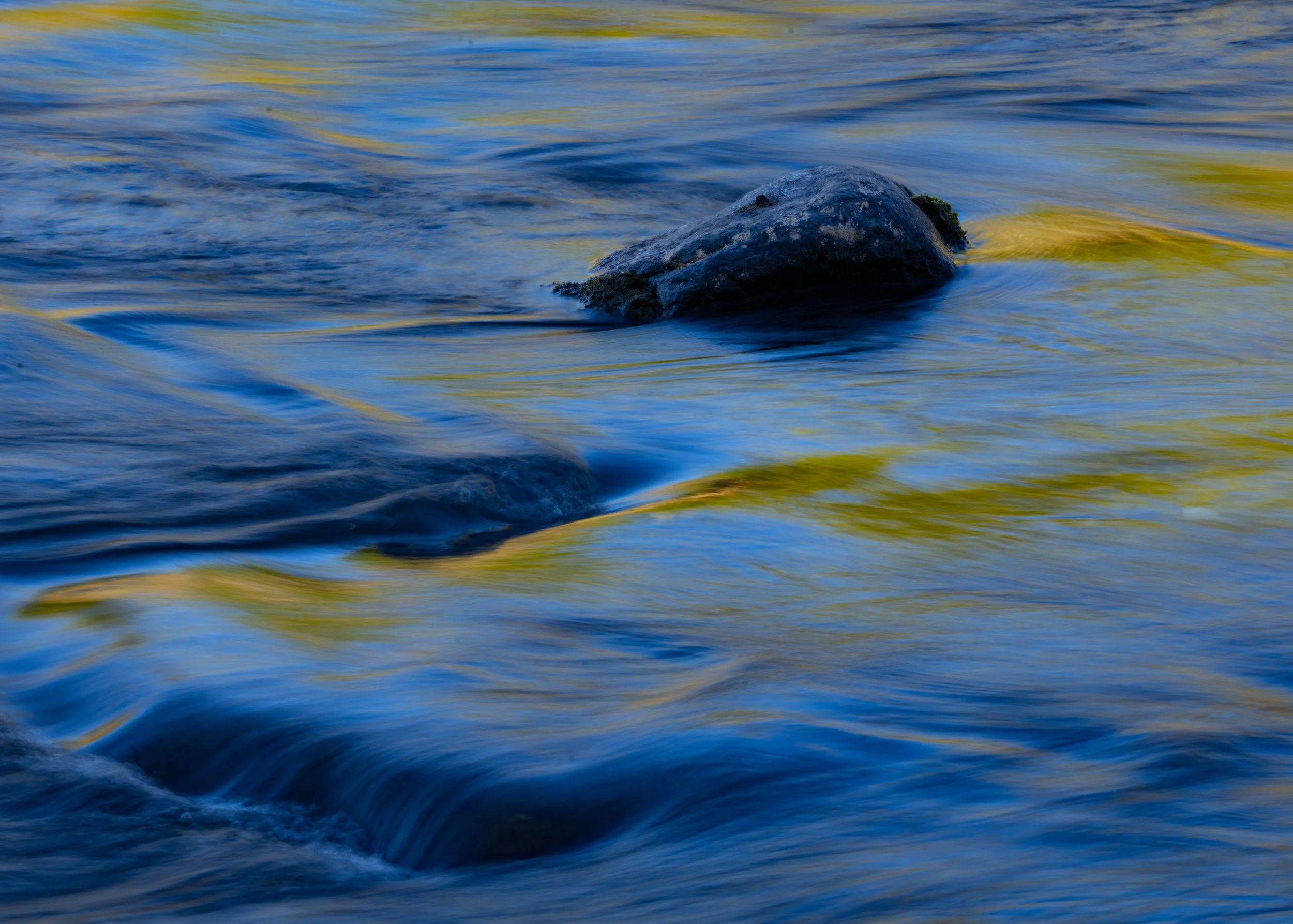 Animas Flow