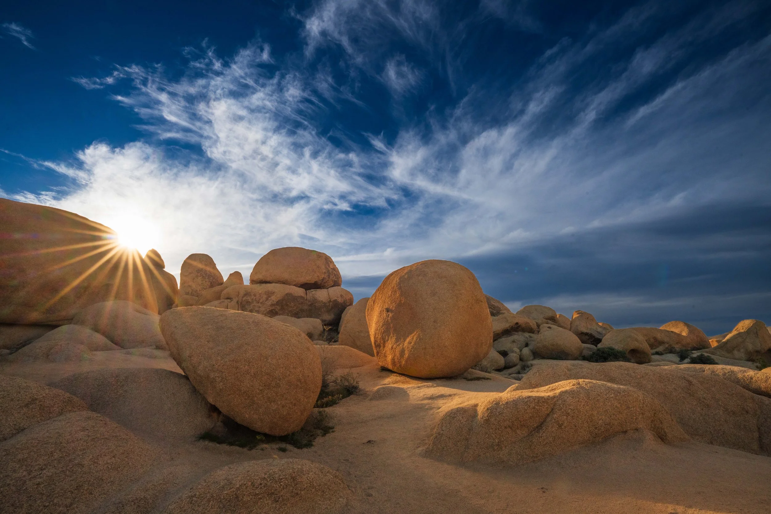 Untitled, Joshua Tree