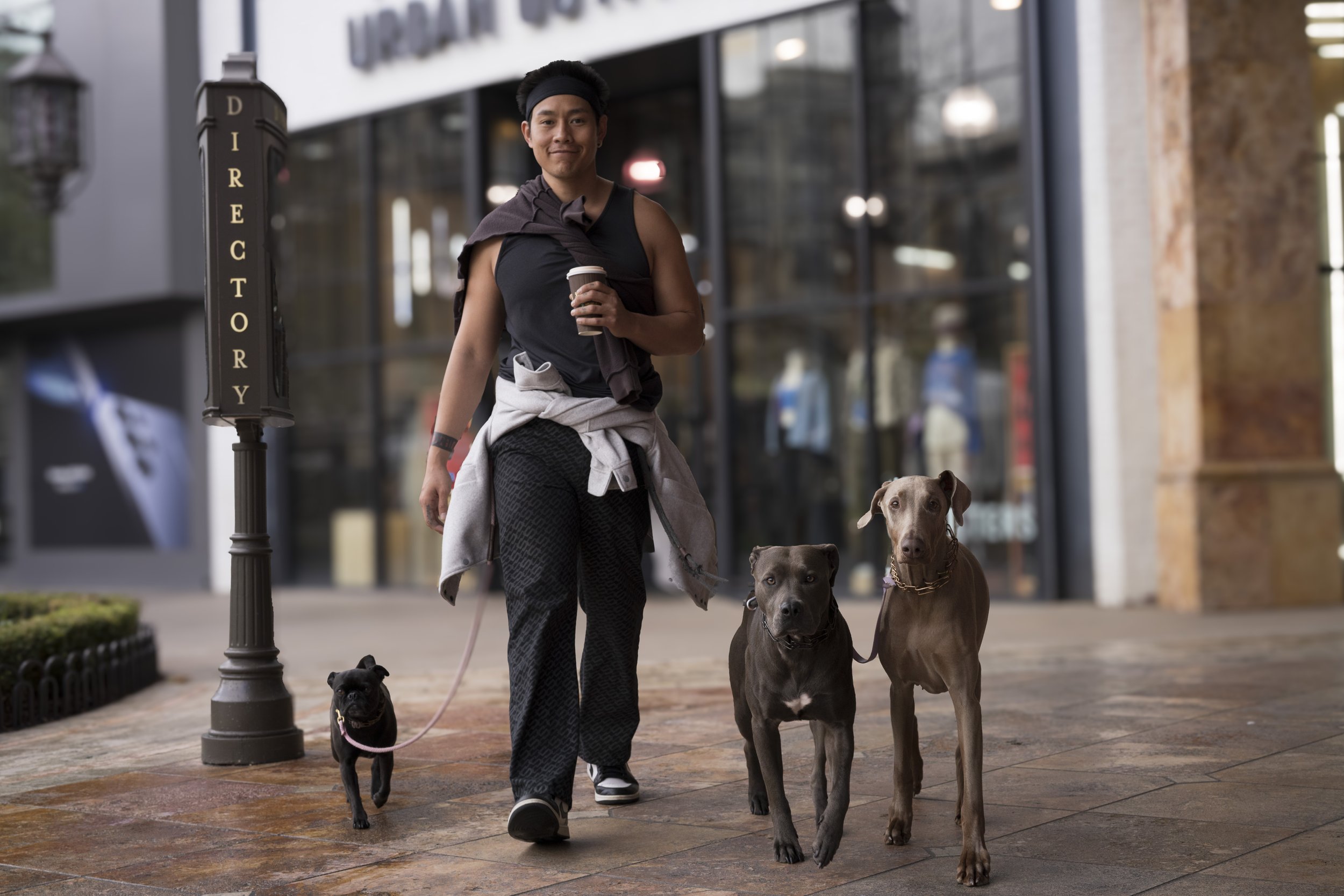 Dogwalker, LA