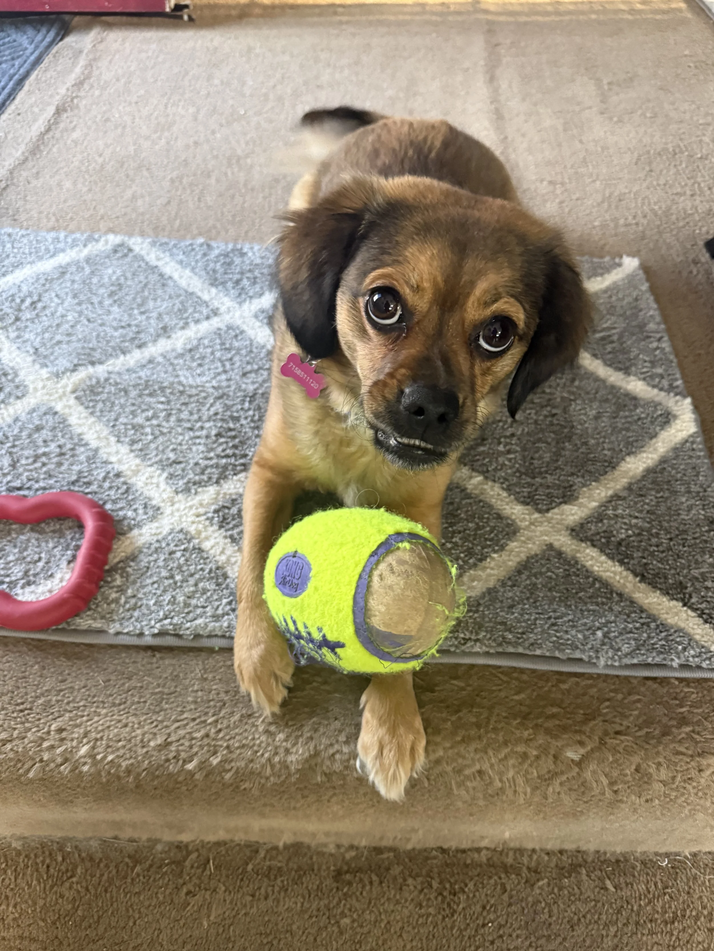 Sade and her favorite toy