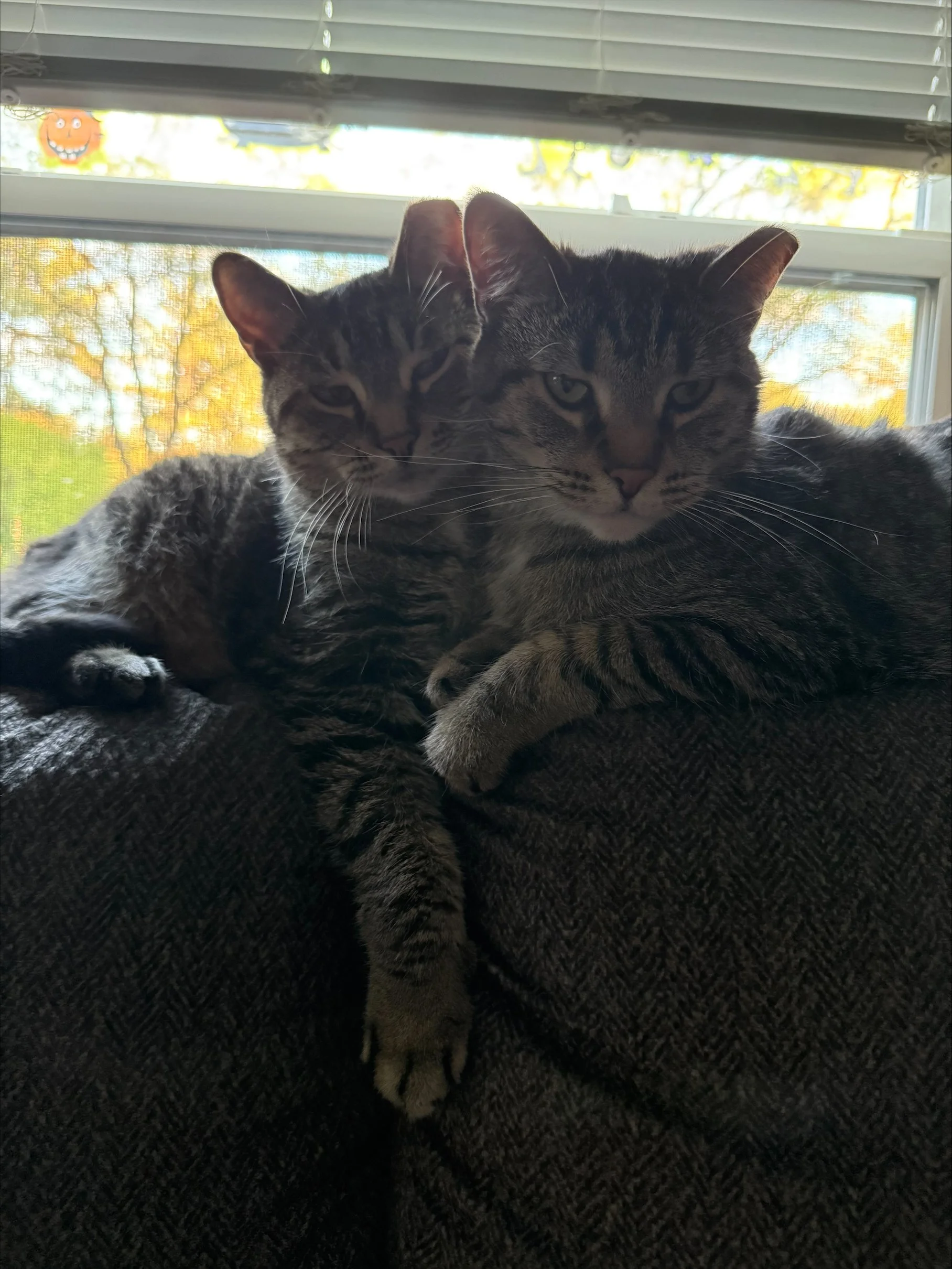 Fred and Sammy