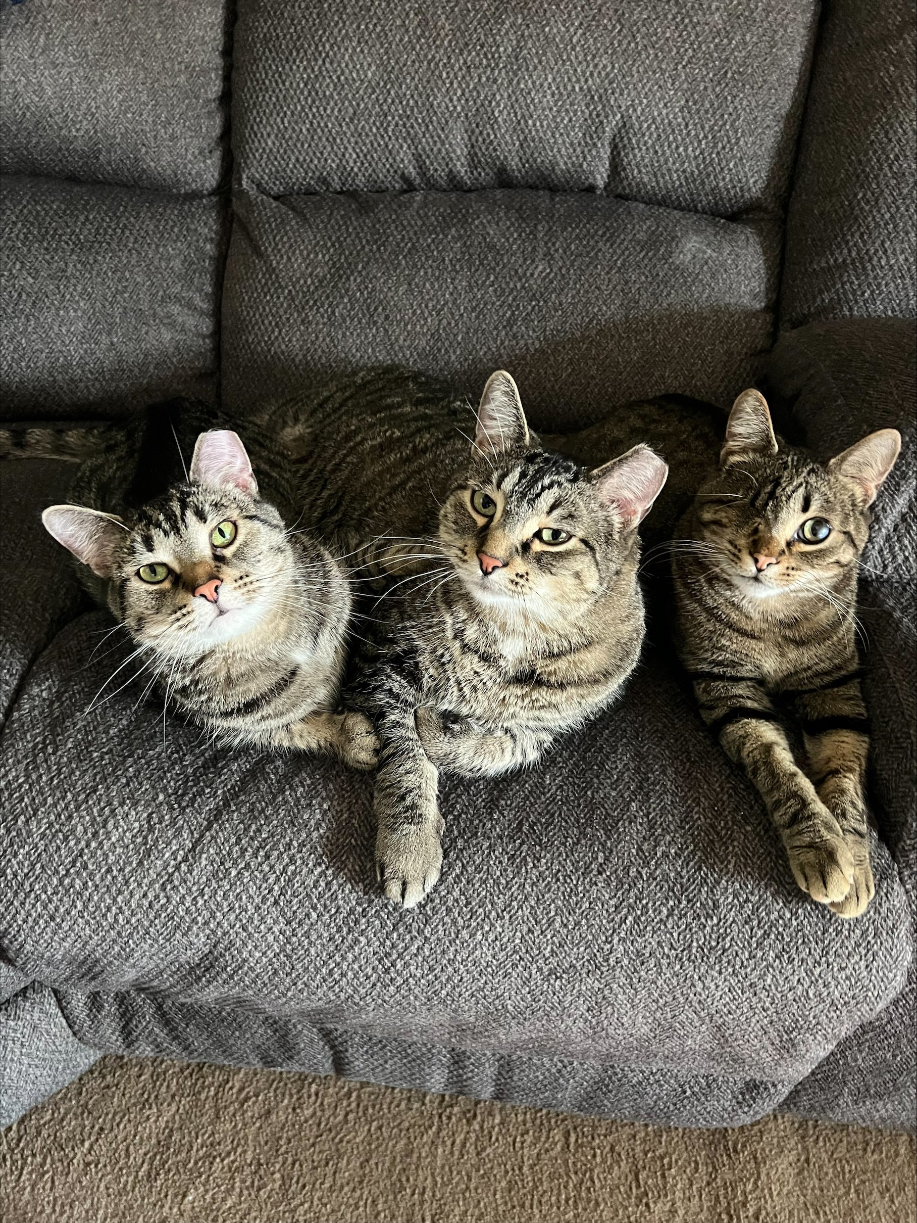 Fred, Sammy and Eli