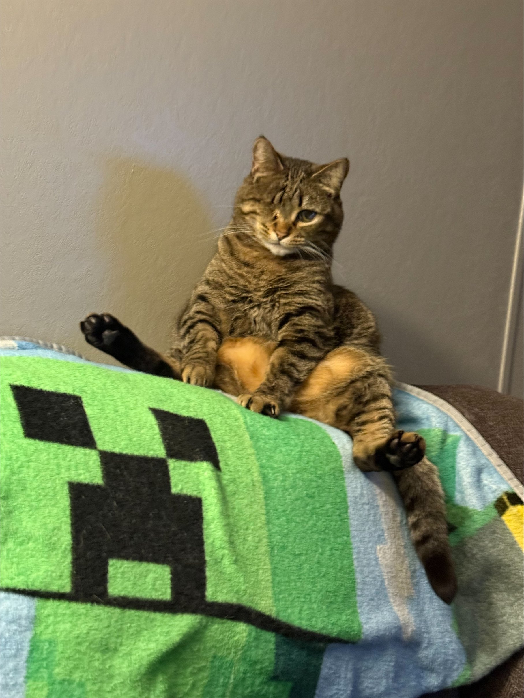 Eli