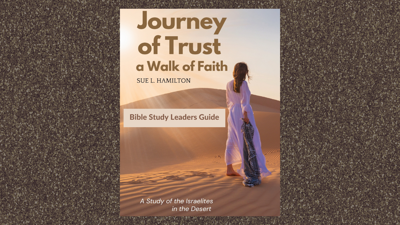 Cover of JoT Bible Study Leaders Guide 1280xx720.png