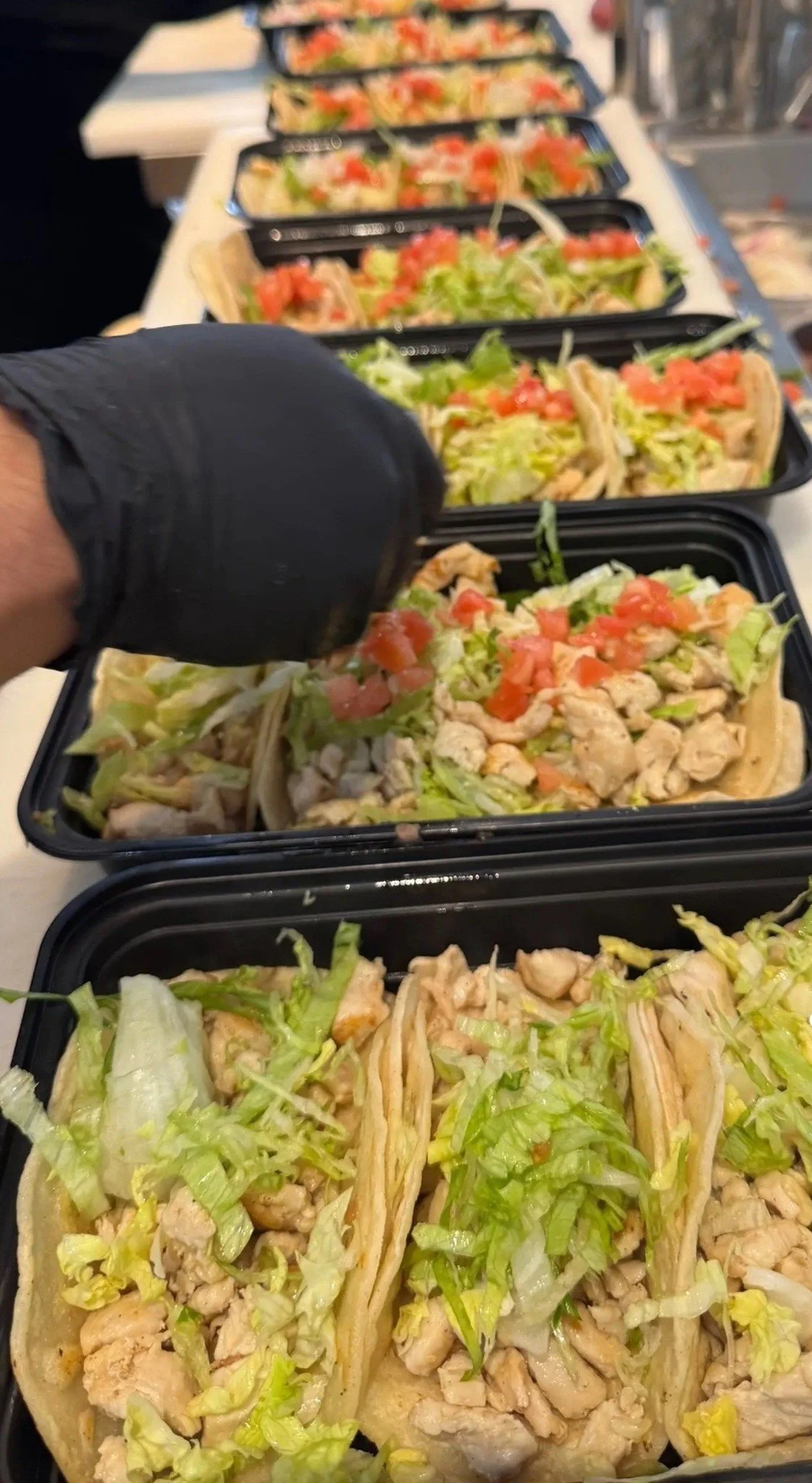 Several trays of grilled chicken tacos with lettuce and diced tomatoes, arranged on a table for serving.