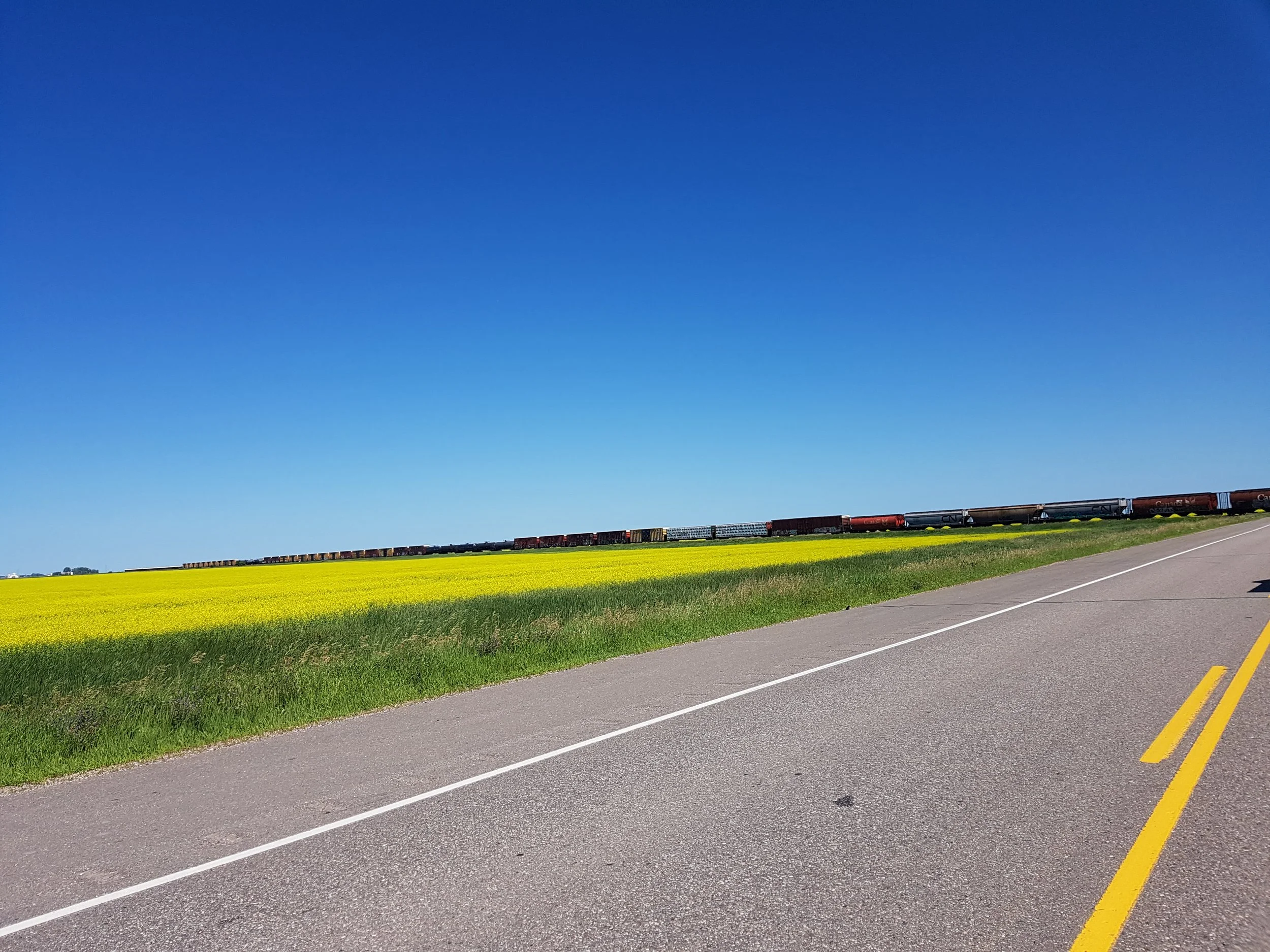 A clear blue sky over a green and yellow field with a train in the distance and a road with yellow dividing lines in the foreground.
