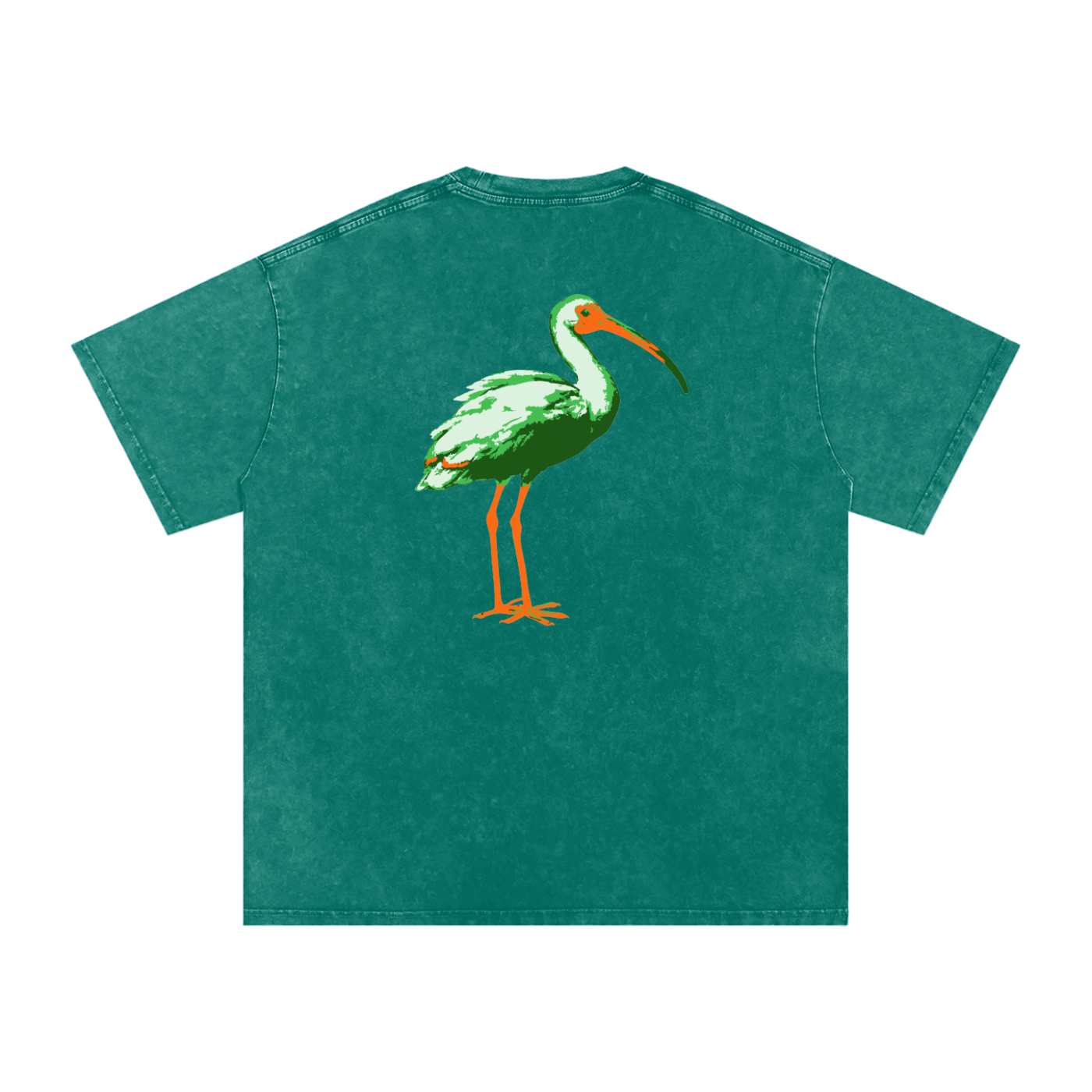 Ibis