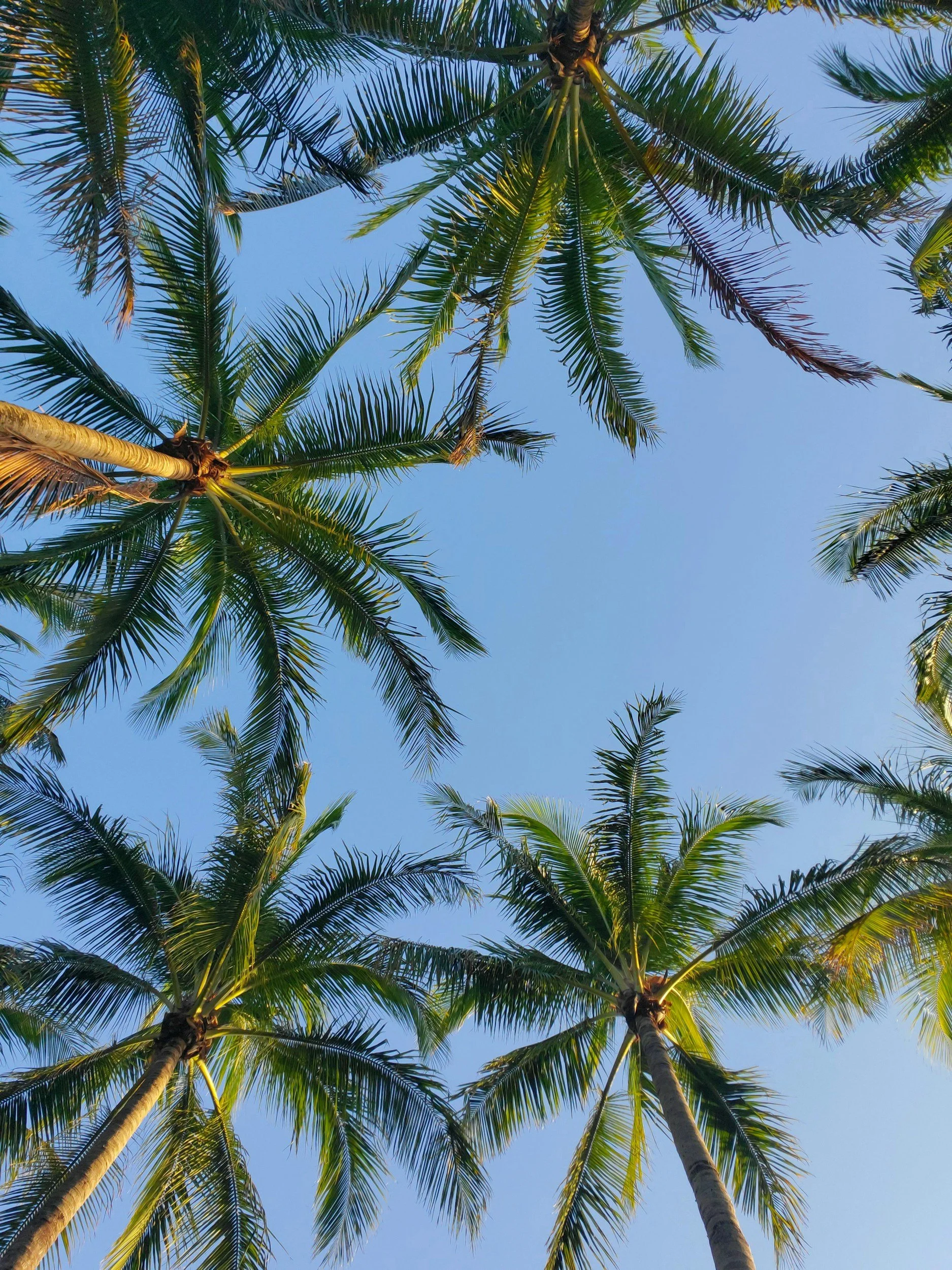 unsplash-image-S_1tR8UxTic.jpg