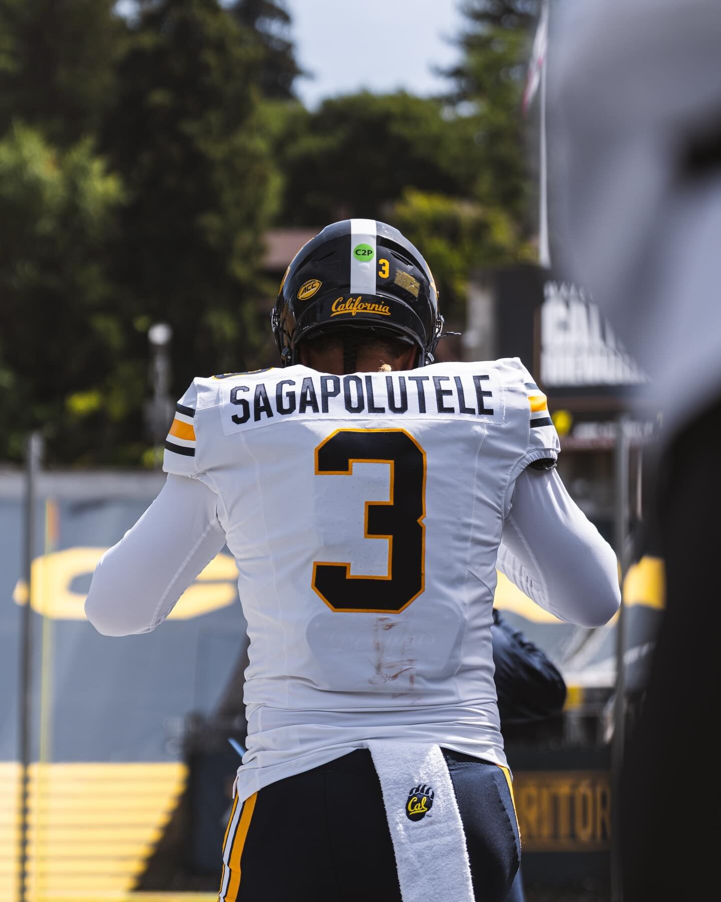 spring game 🐻

4.18.26