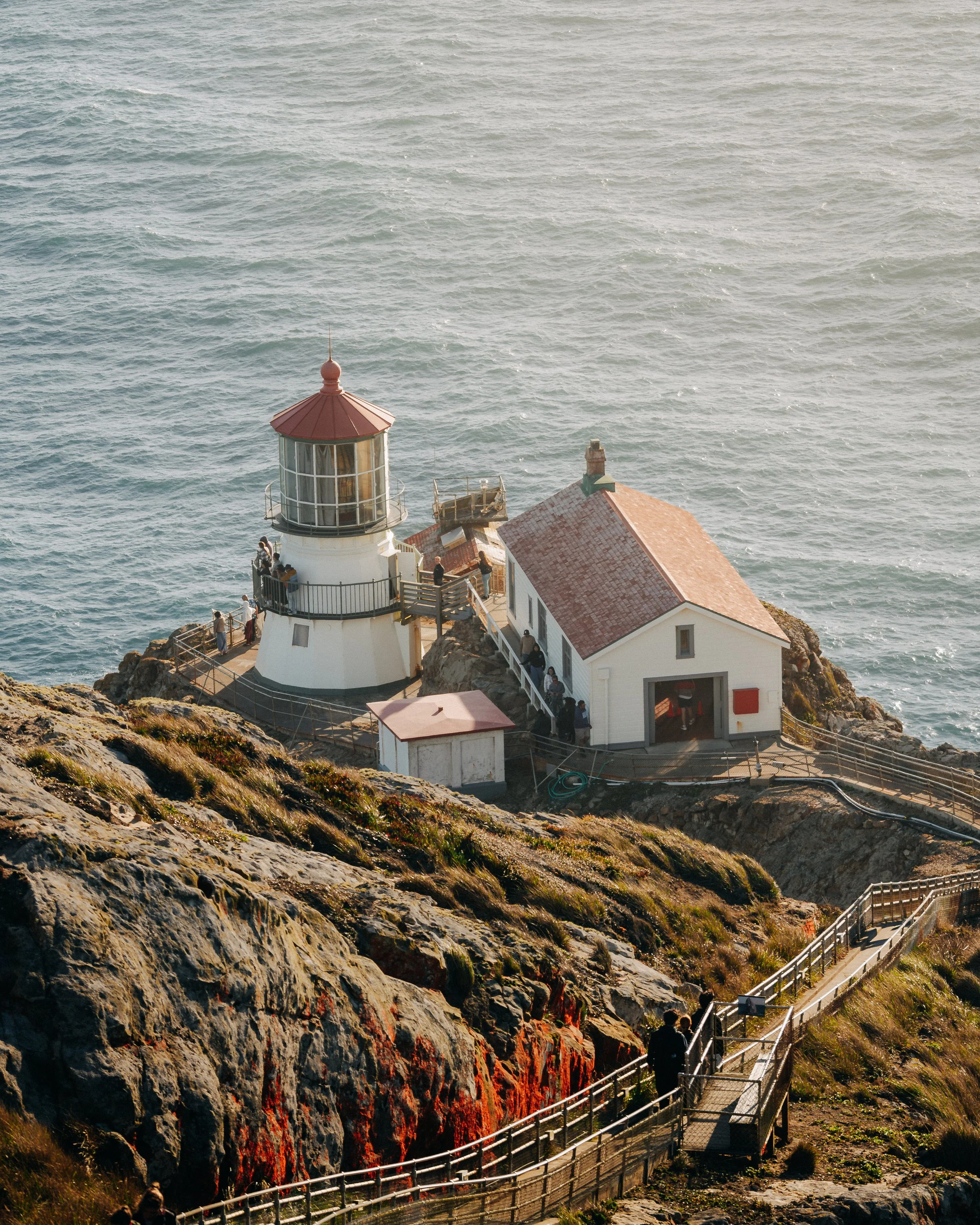 pointreyes-4.jpg