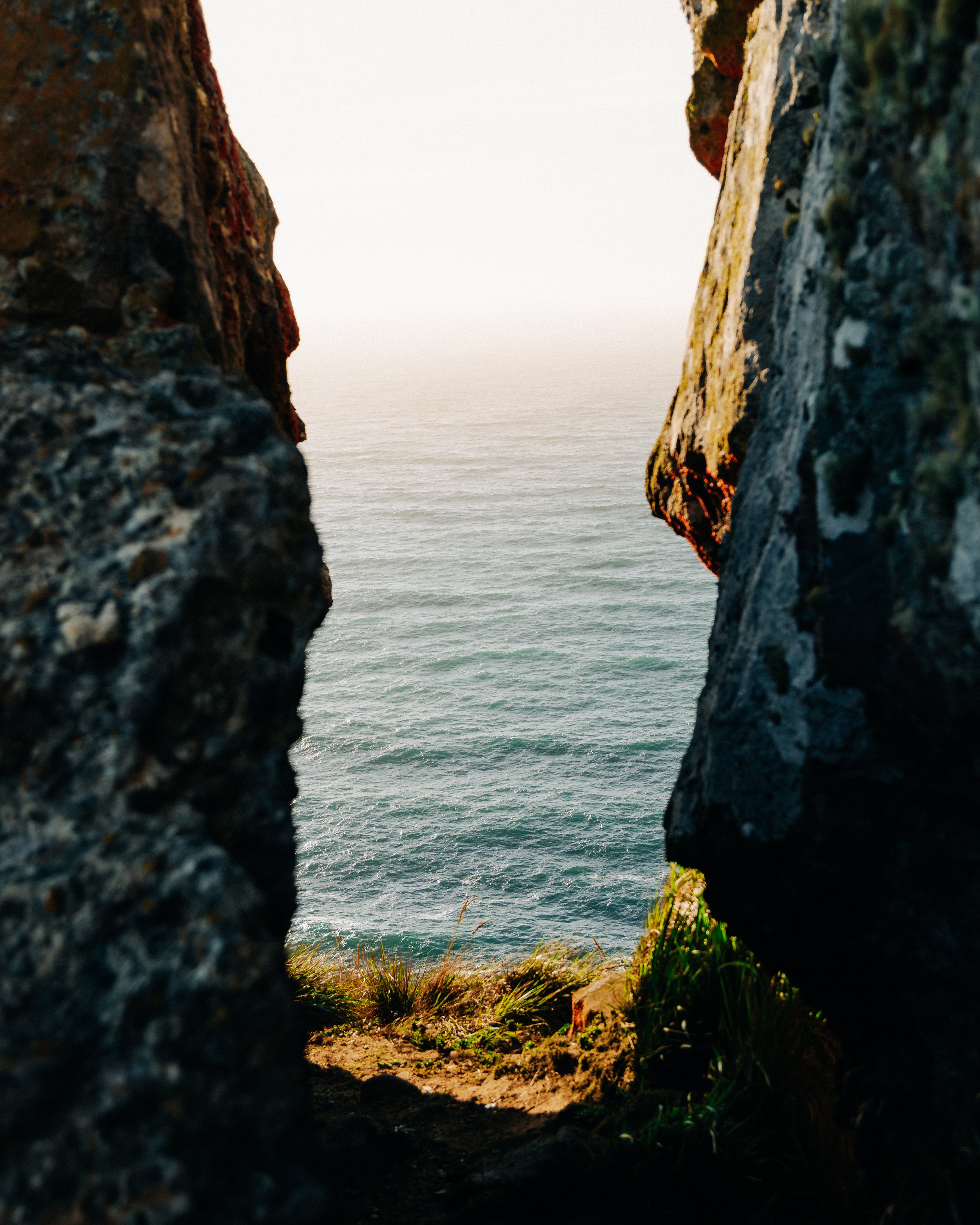 pointreyes-5.jpg