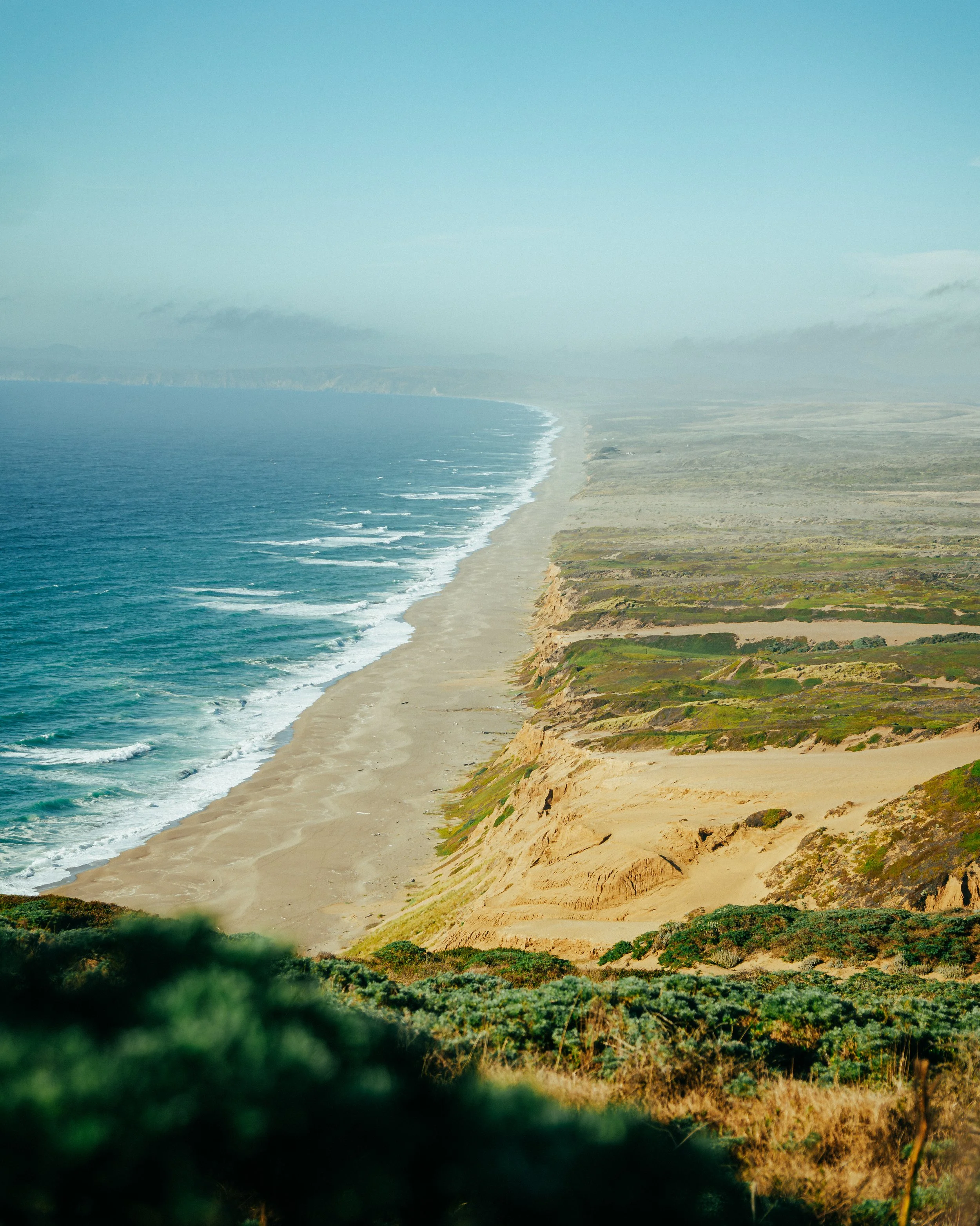 pointreyes.jpg