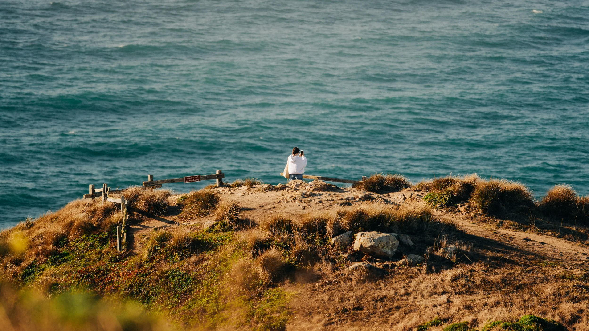 pointreyes-3.jpg