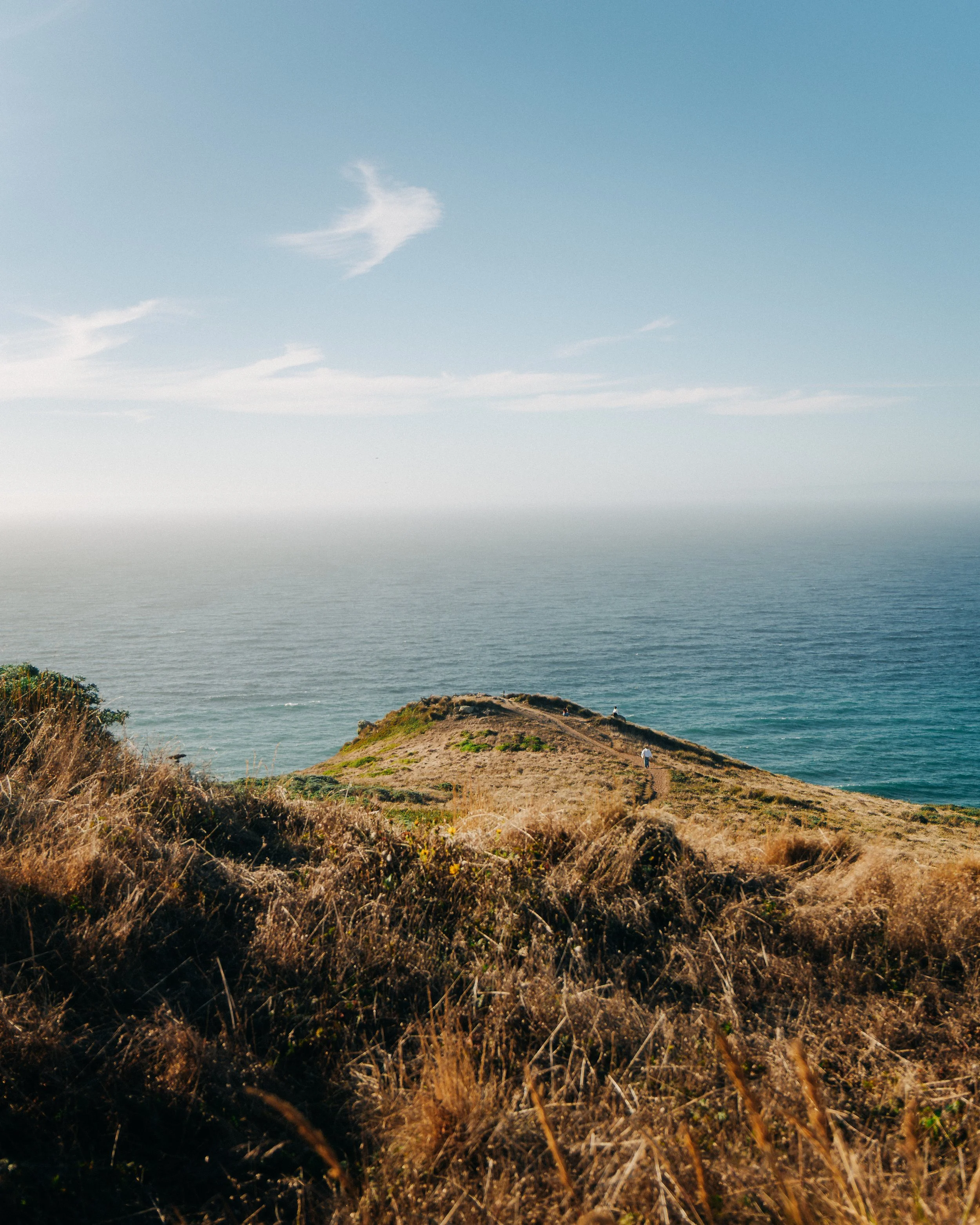pointreyes-2.jpg