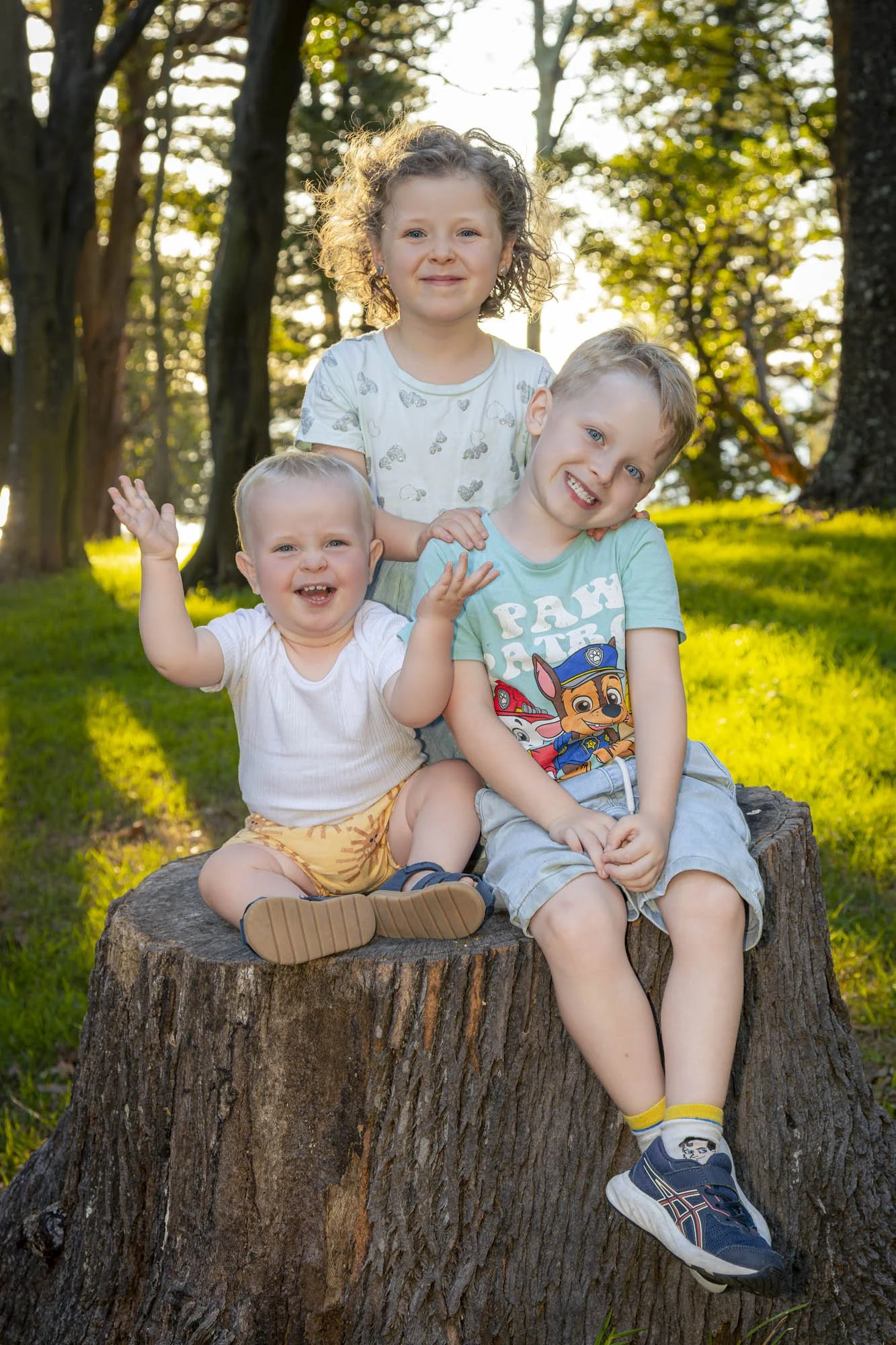 Four children sitting and standing on a large tree stump outdoors with trees and sunlight in the background, smiling and playing.
