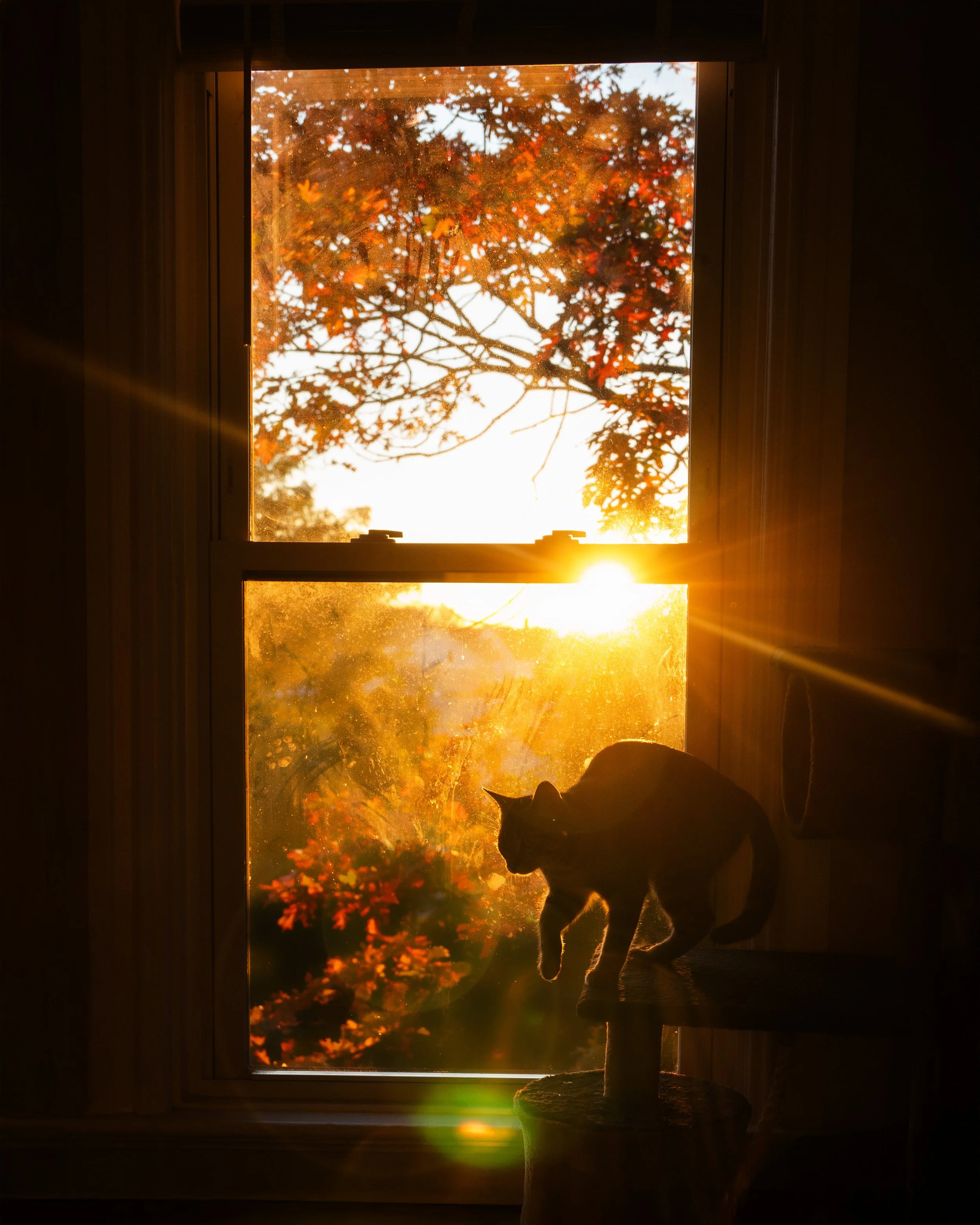 DSC09508.1.jpg