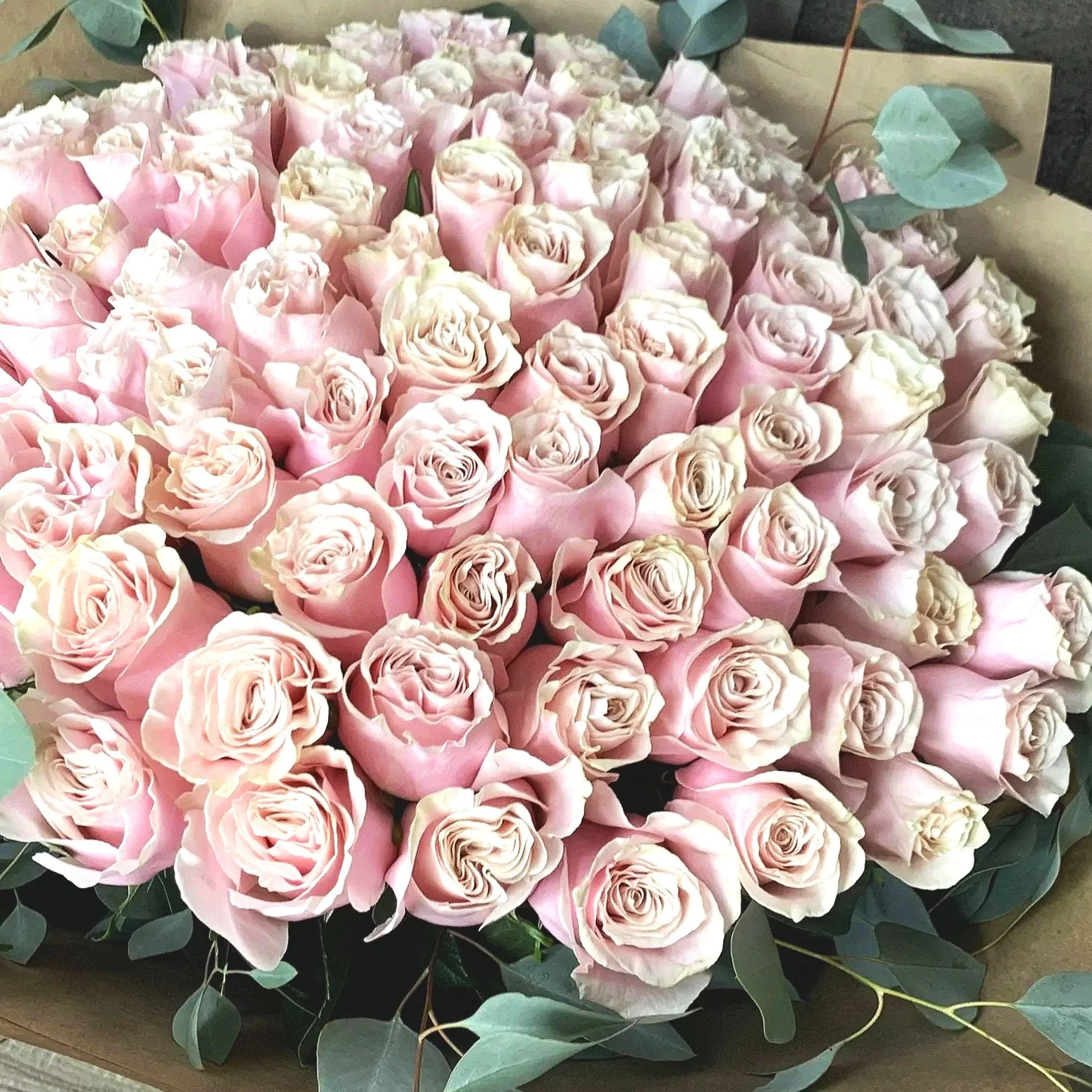 Where Elegance Blooms.