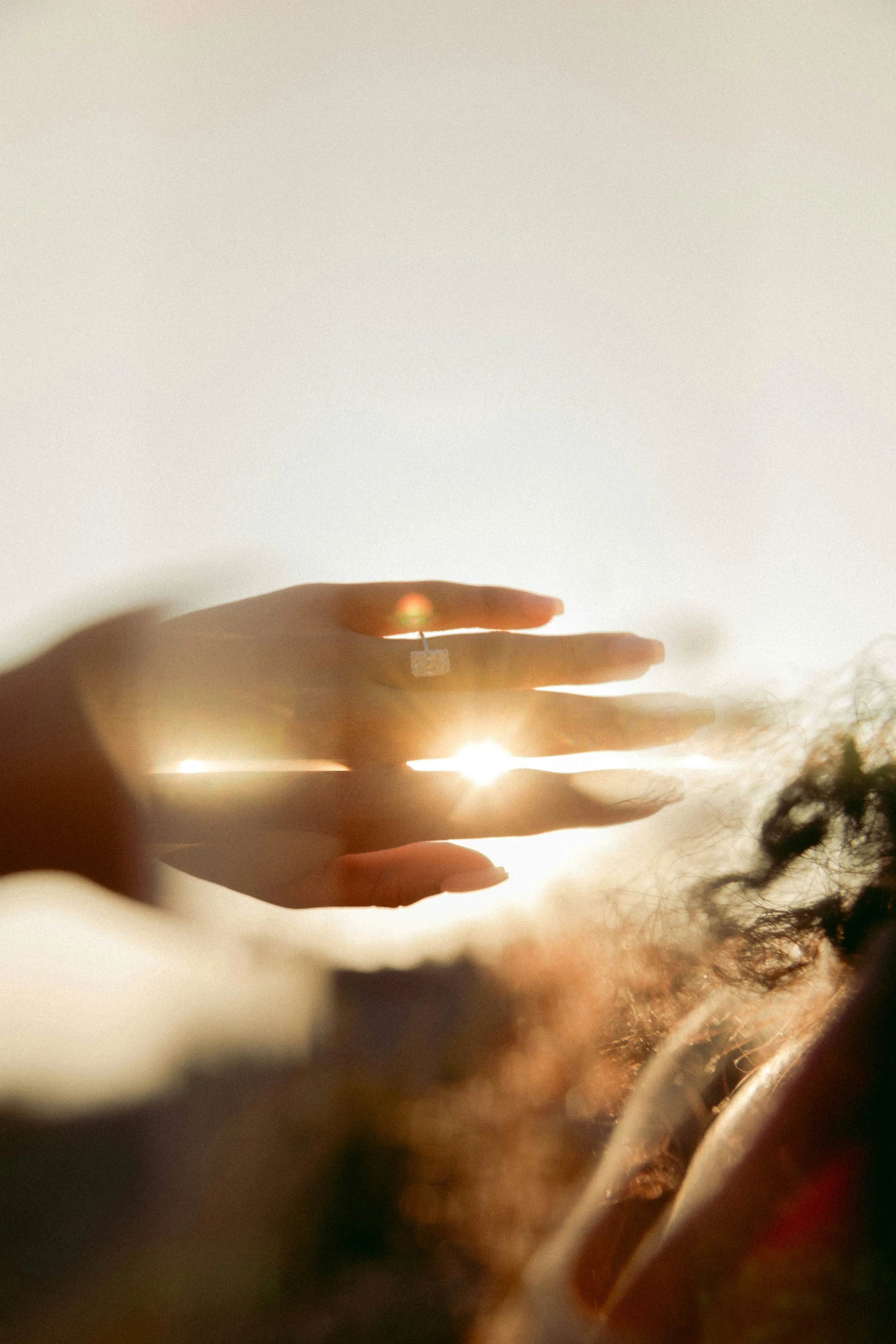 Hands held open in soft warm light