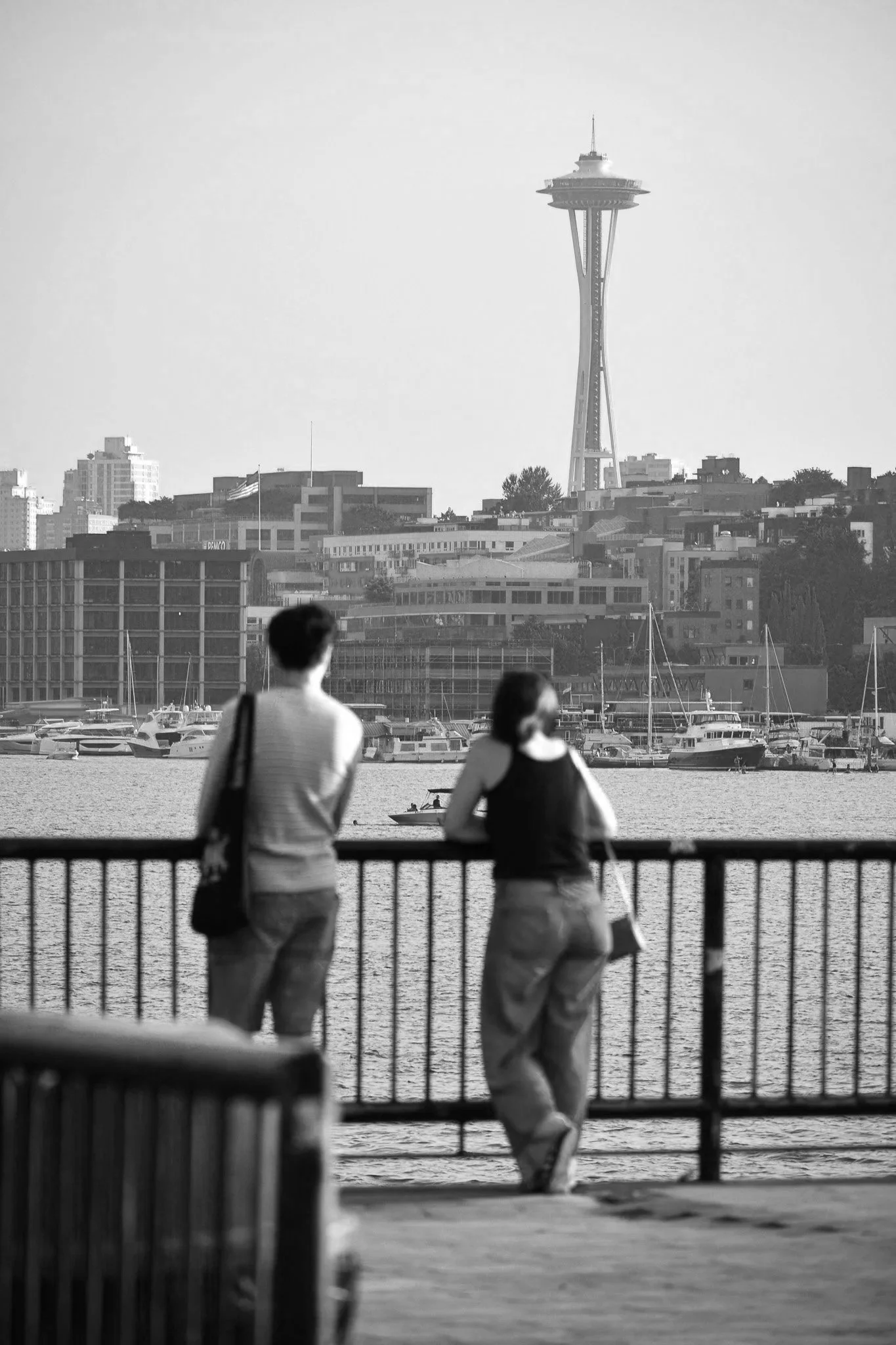 DSC_1041.jpg