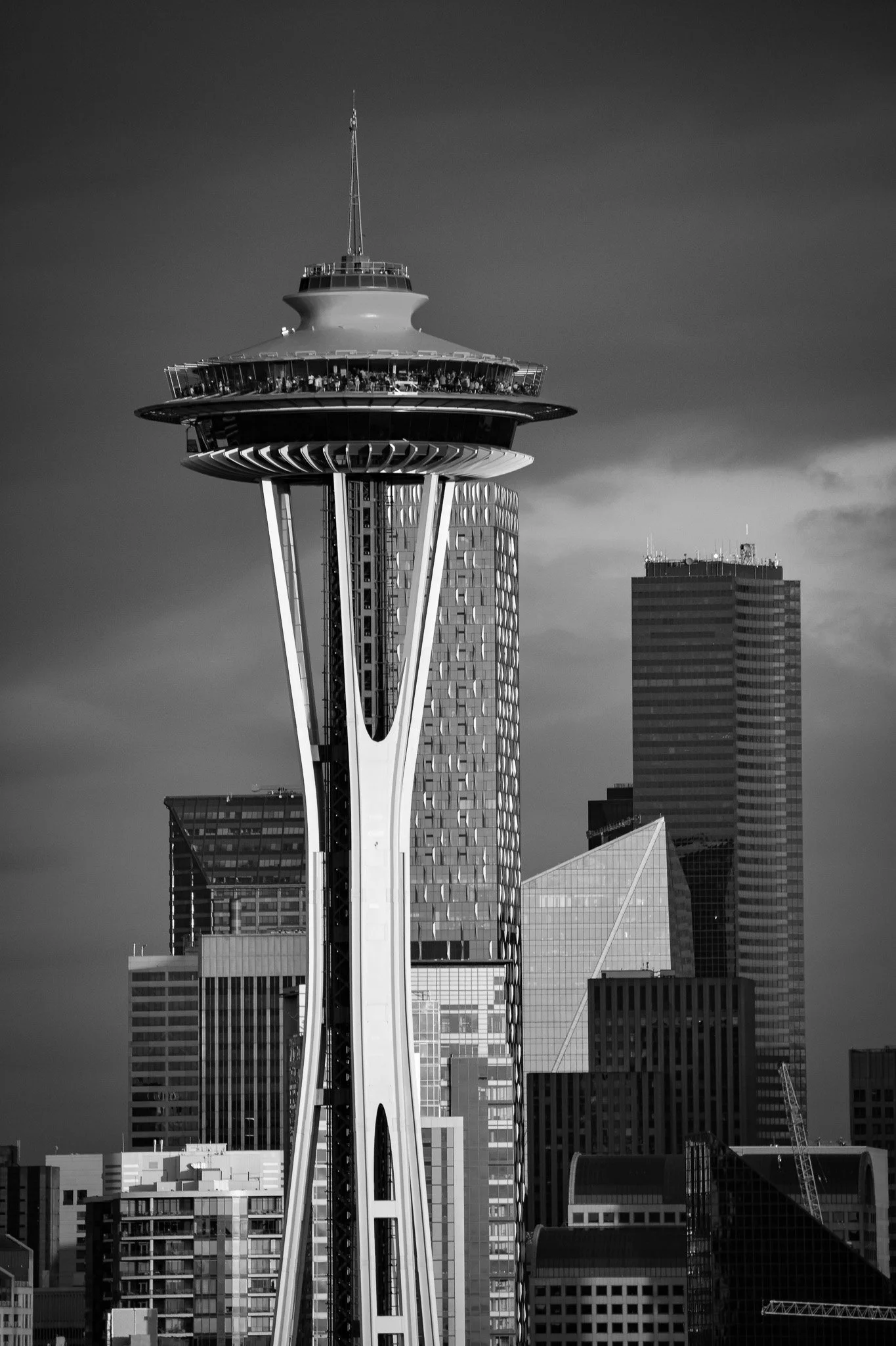 DSC_0167 (2).jpg