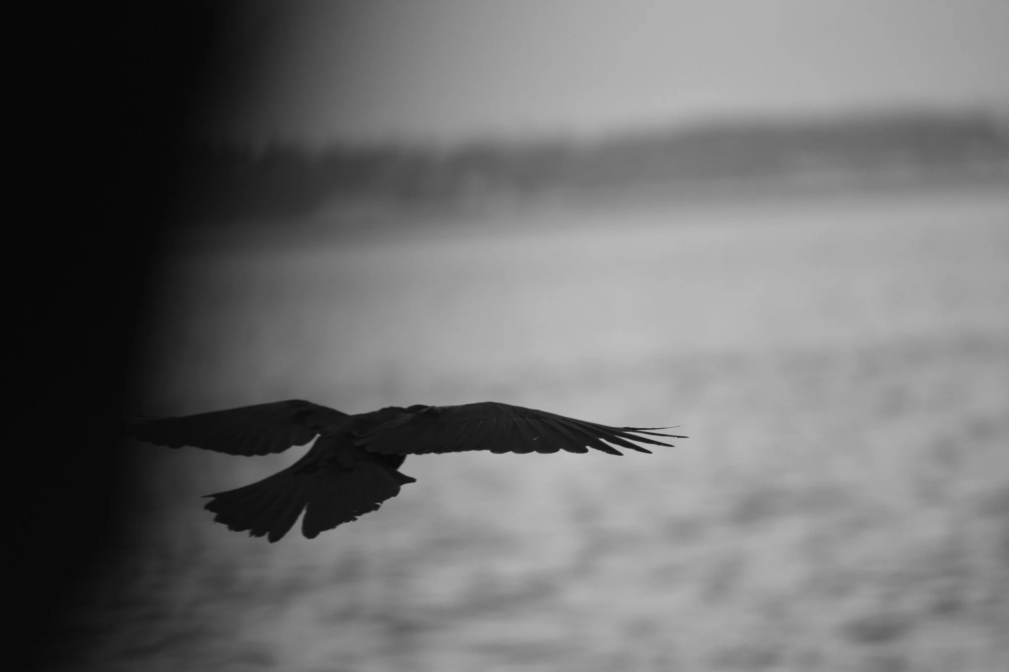DSC_2264.jpg