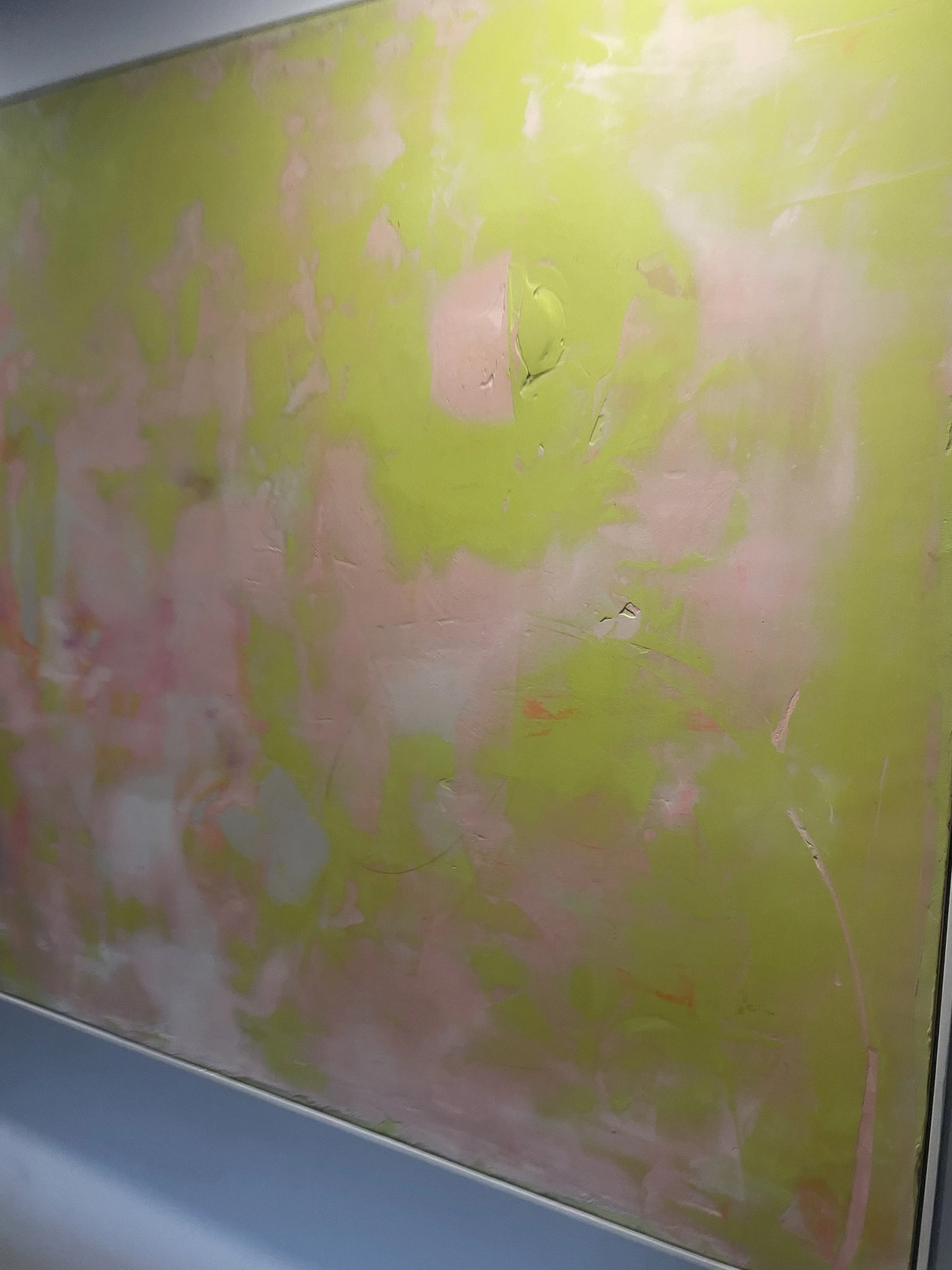 IMG_6708.jpeg