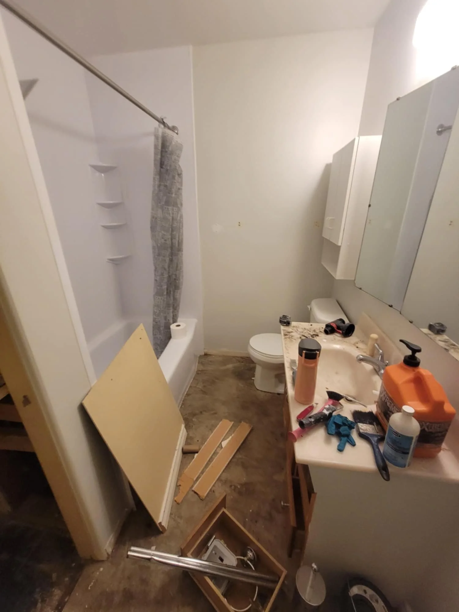 This was the bathroom just before we started to work on it.