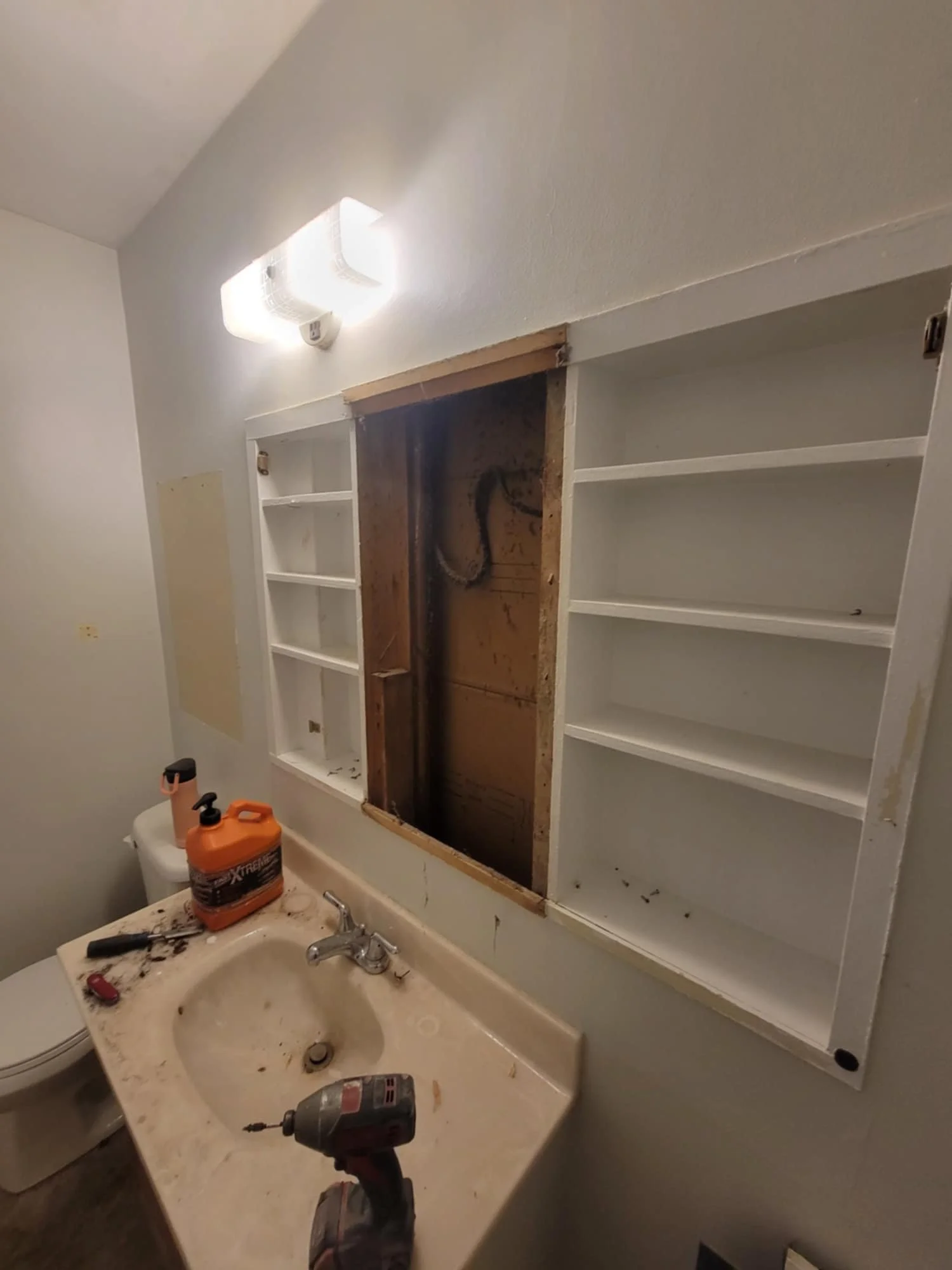 We removed the built-in medicine cabinet. The mirrors were tiny and all peeling, and inside the wall we found a few surprises.