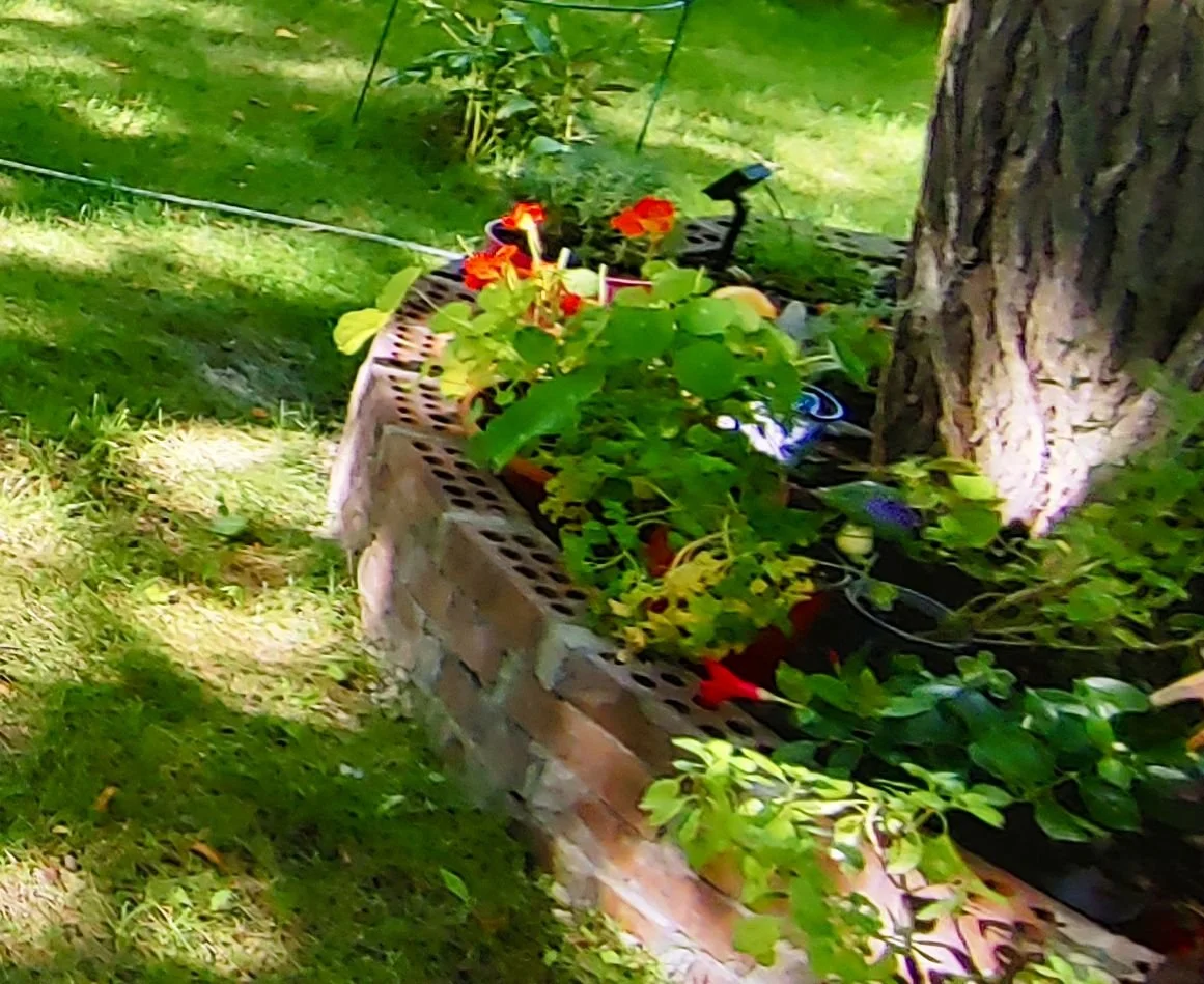 Flower bed after 2.jpg