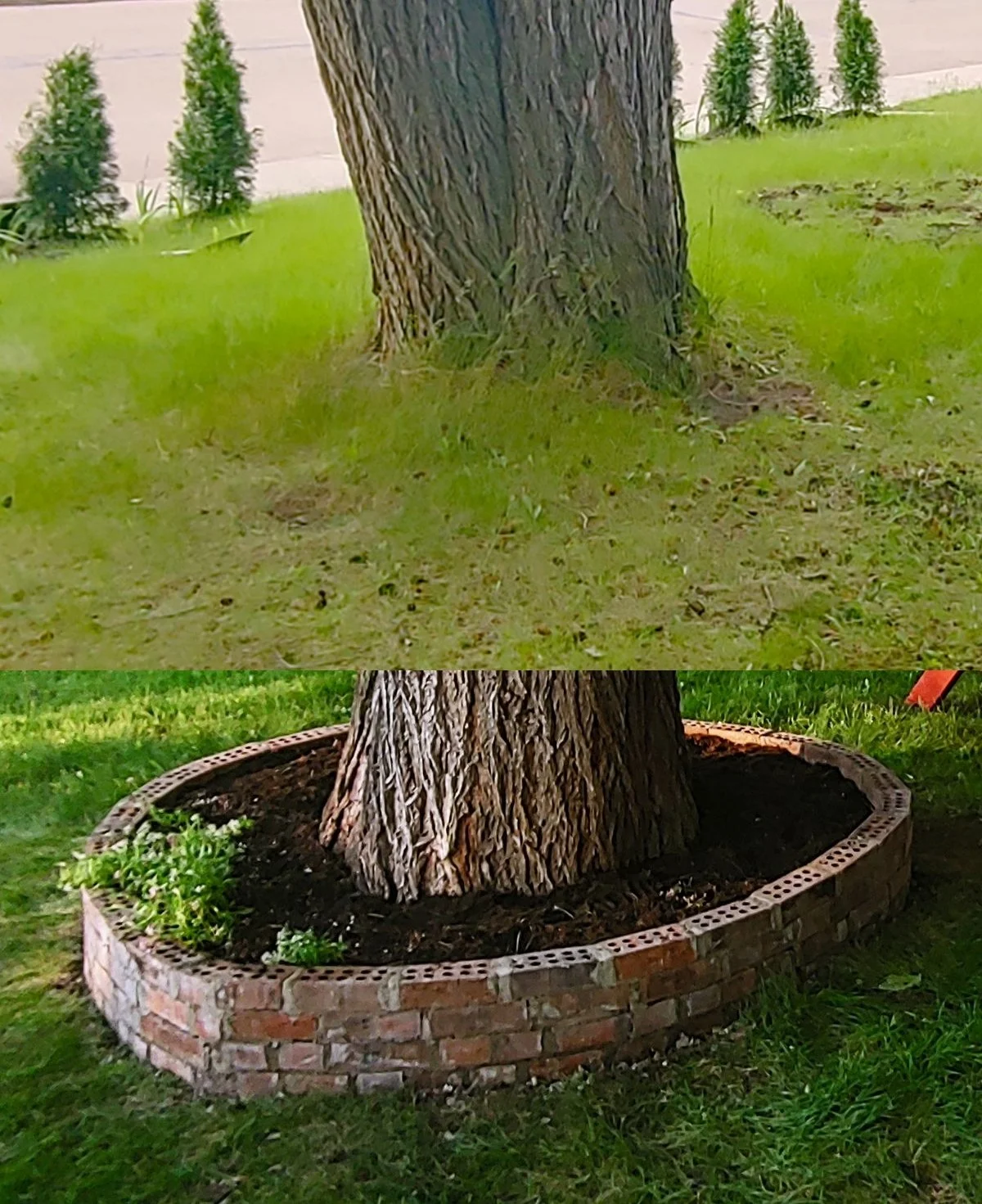Yard Work & Landscaping