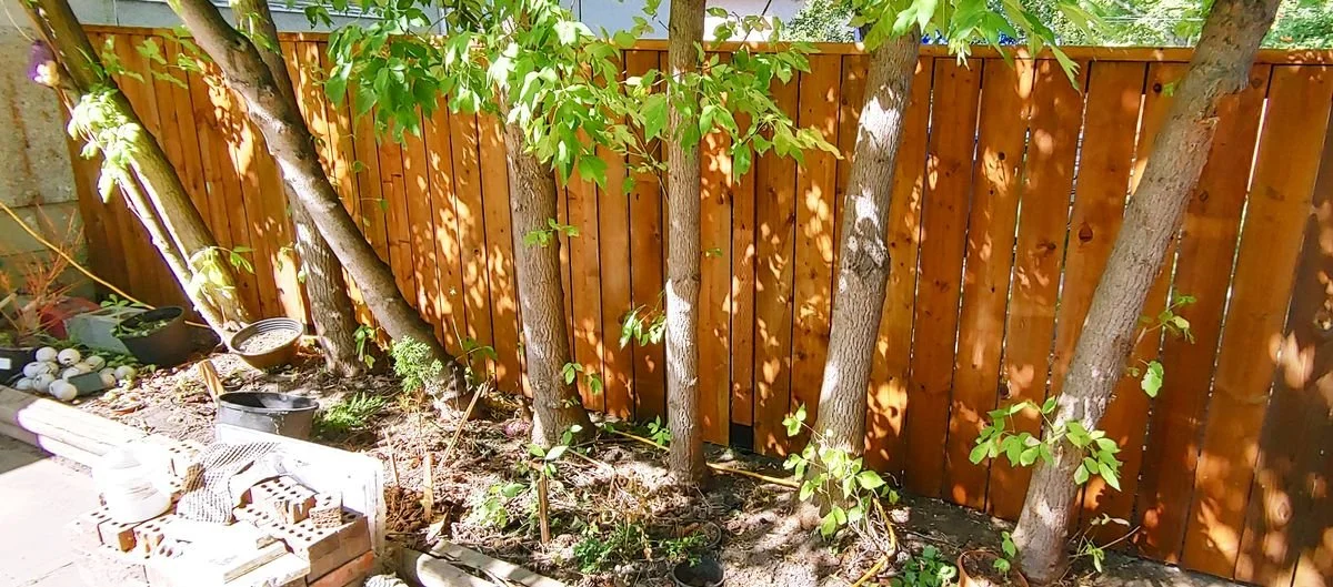 web_0044.jpg
