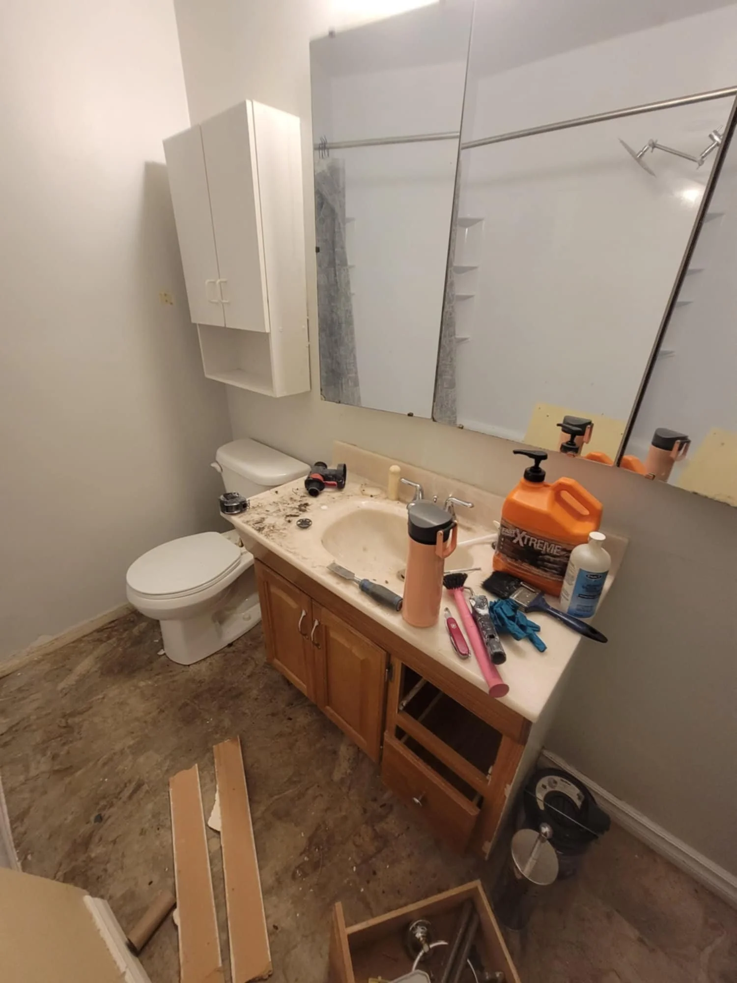This was the bathroom just before we started to work on it.