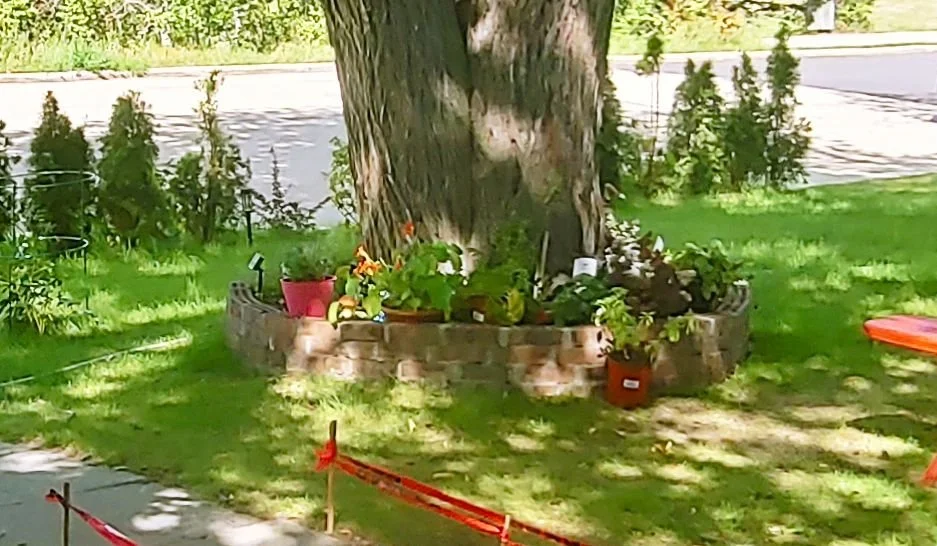 Flower bed after 1.jpg