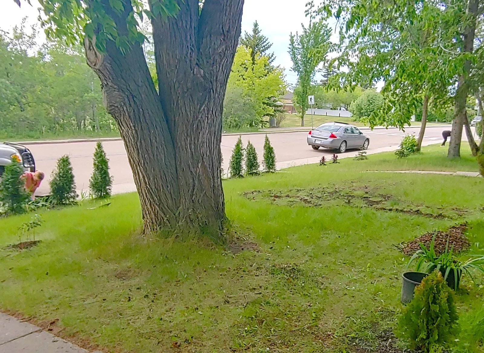 Flower bed before.jpg