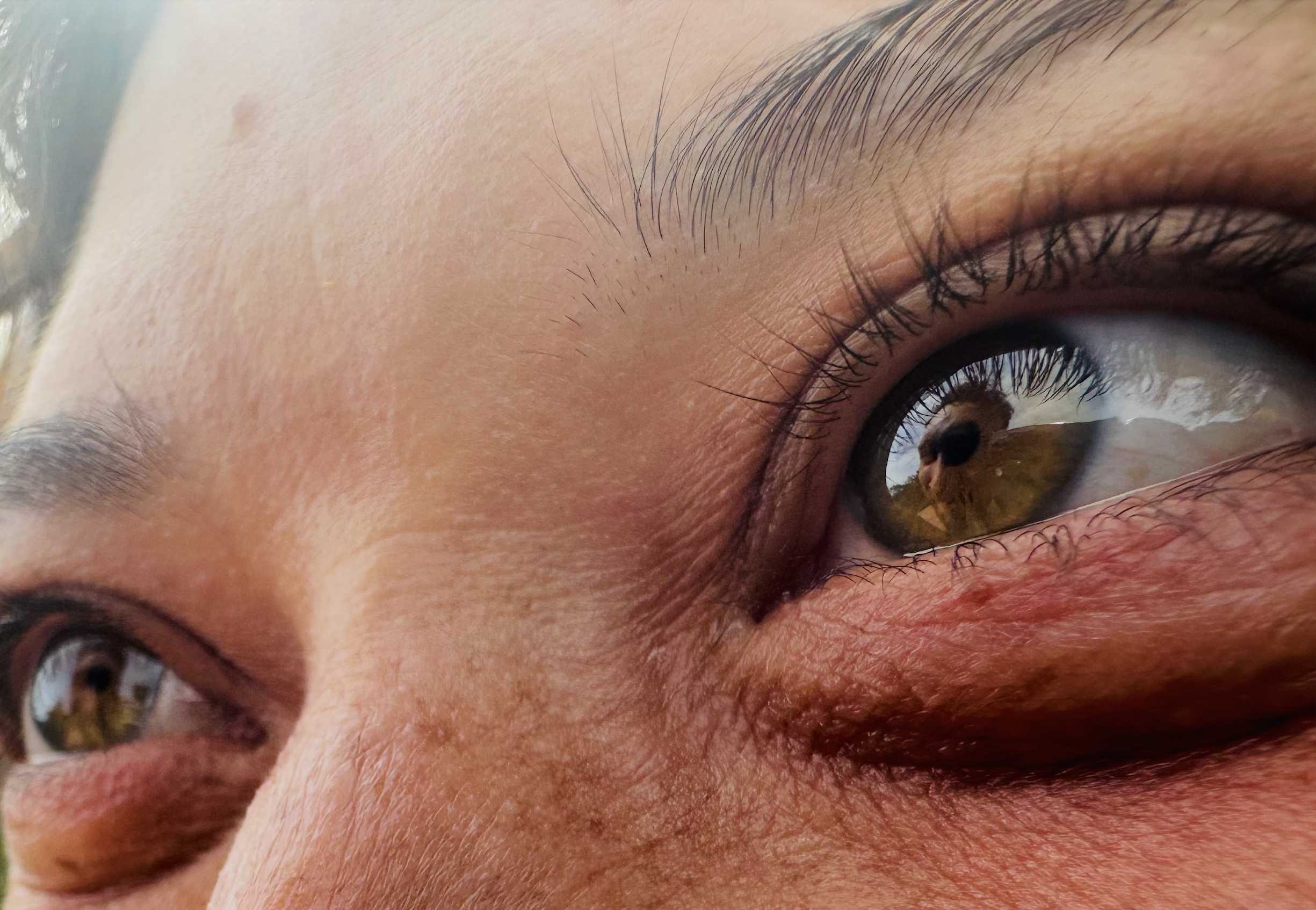 Golden Earth: A World You Can Taste, Hear, and Feel