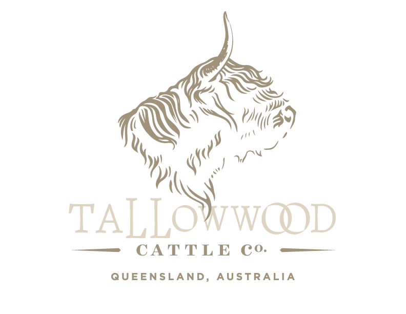 Talloowwood Cattle Co