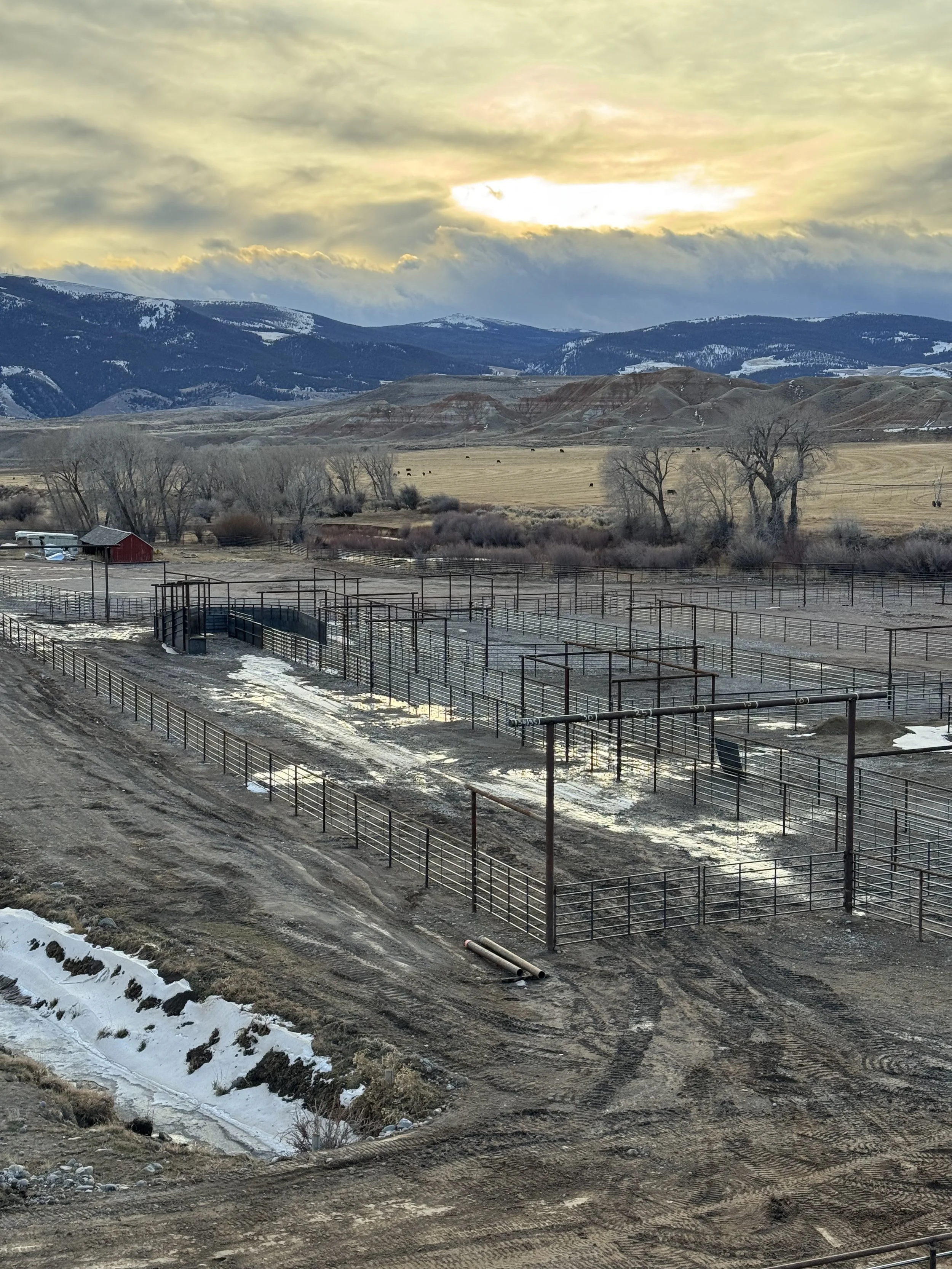 IMG_2762.jpeg