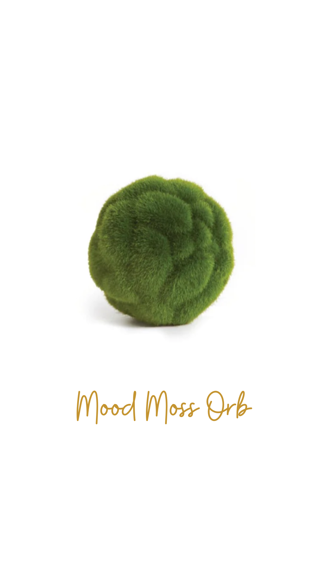 mood moss orbs