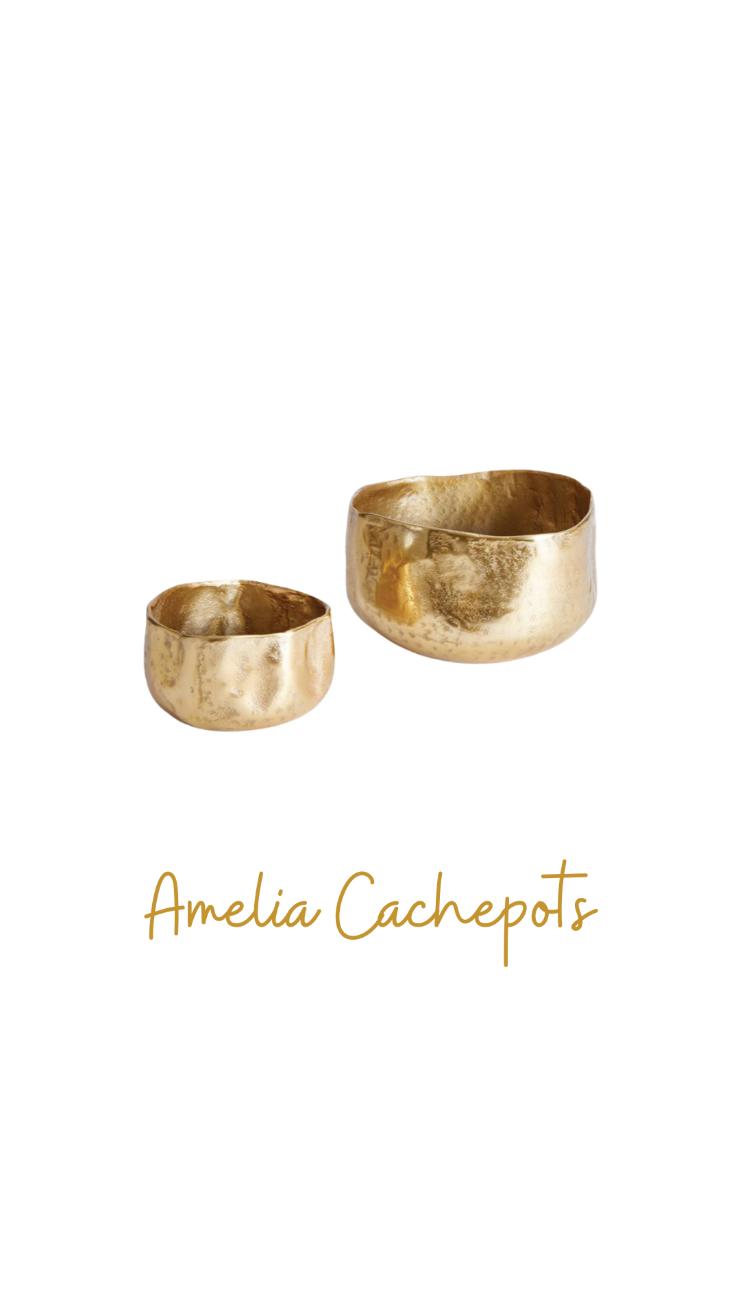 Amelia Cachepots