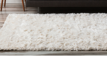SUPER SOFT AREA RUG$6005X8