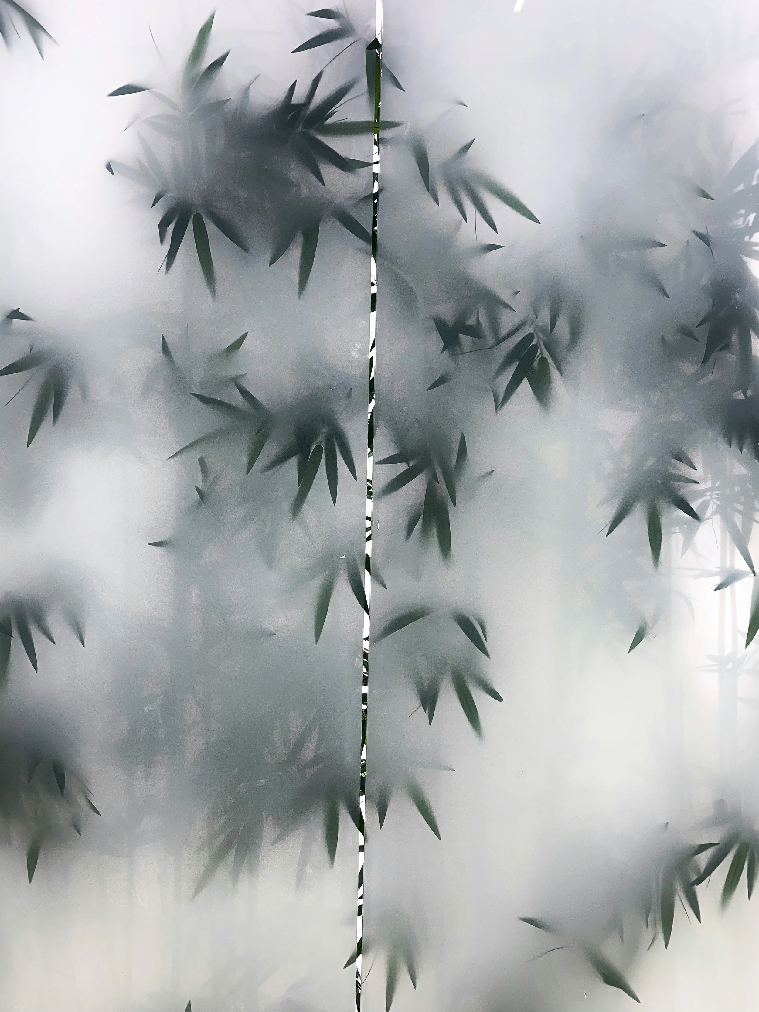 Glass surface with shadows of plant leaves creating a pattern.